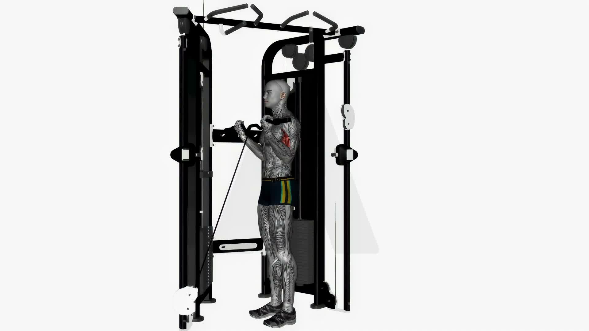 Ez Bar Cable Curl Wide Grip Crossover Machine exercise demonstration