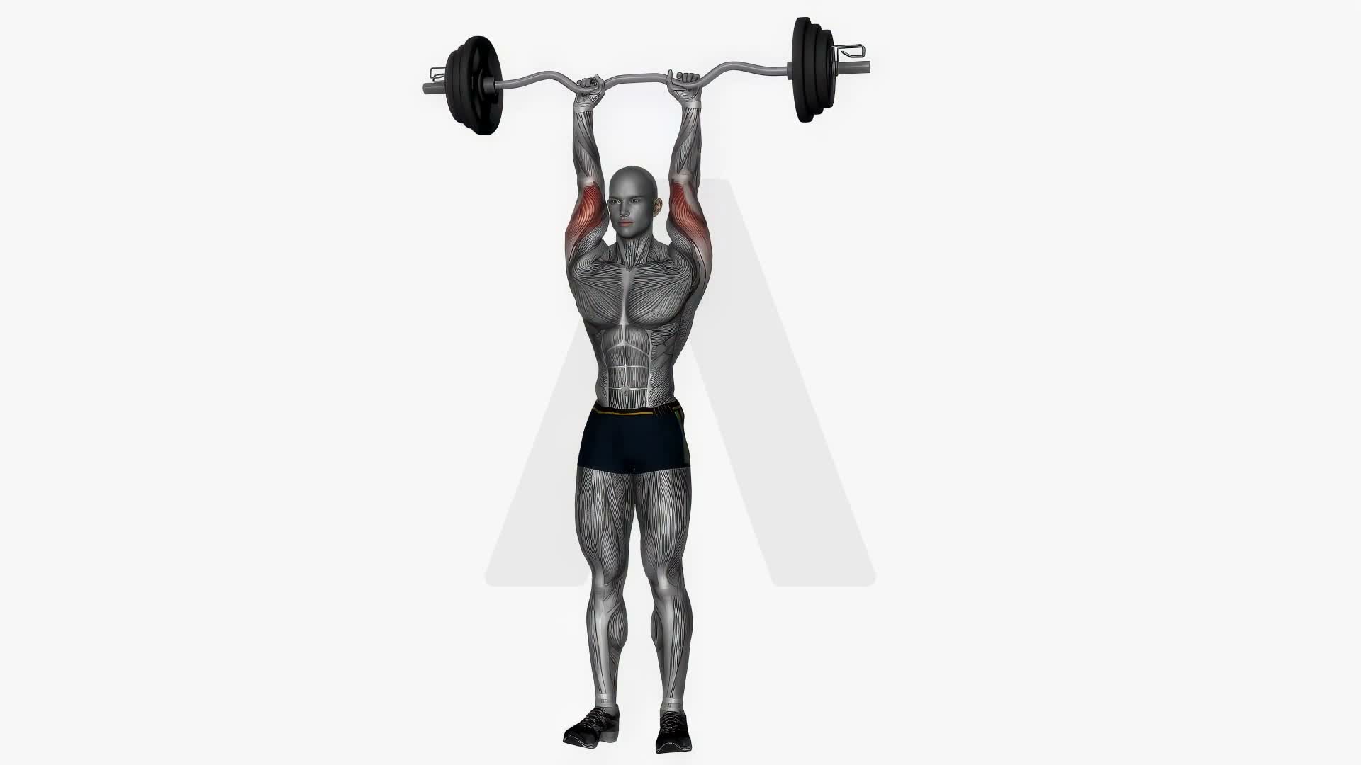 Ez Bar Overhead Extensions Standing exercise demonstration