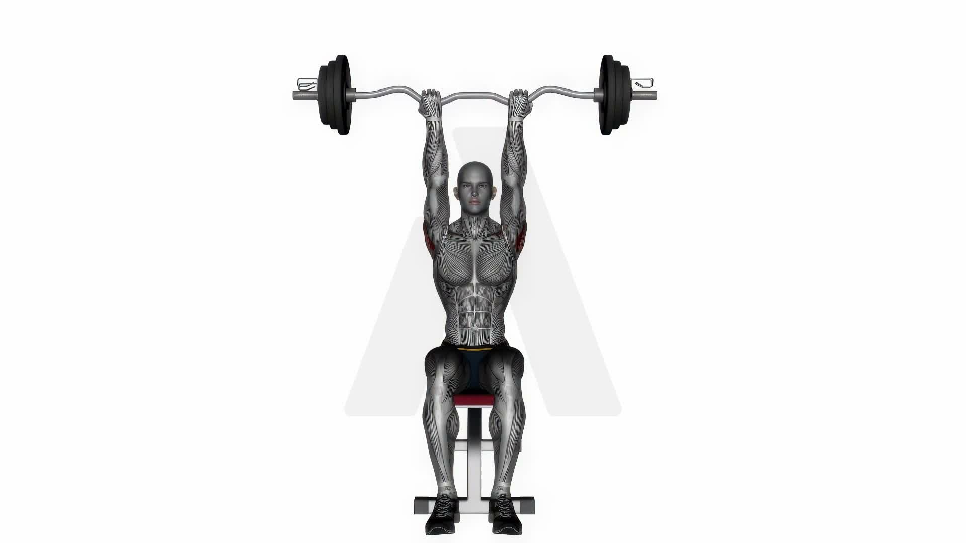 Ez Bar Seated Close Grip Shoulder Press exercise demonstration