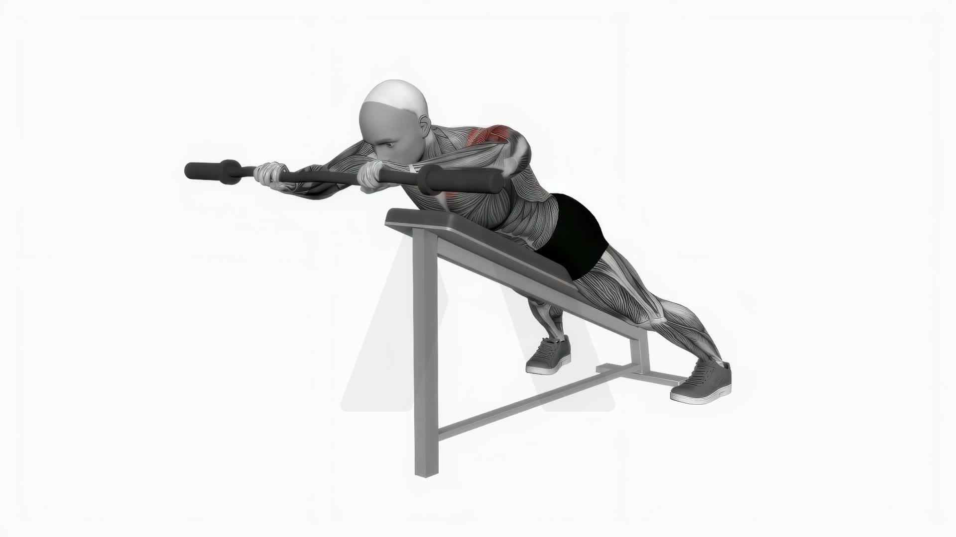 Ez Barbell Anti Gravity Press exercise demonstration