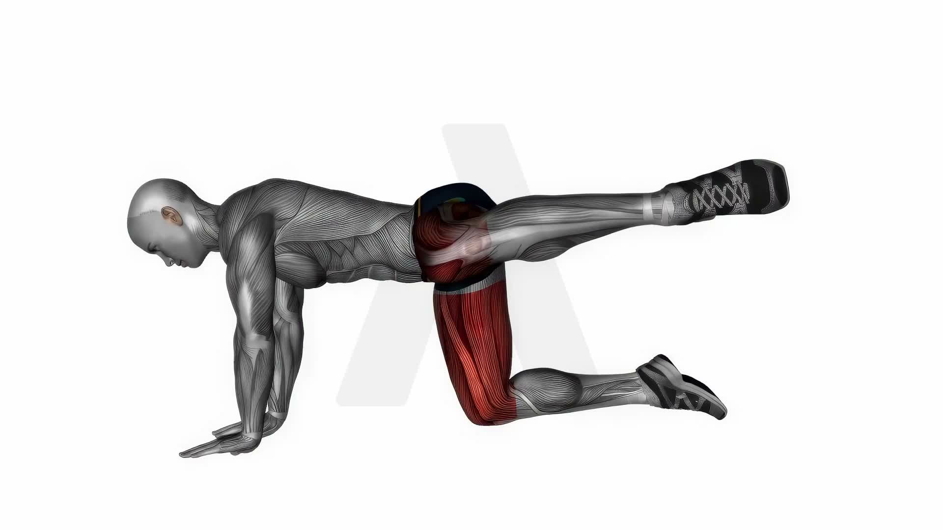 Fire Hydrant Bodyweight exercise demonstration
