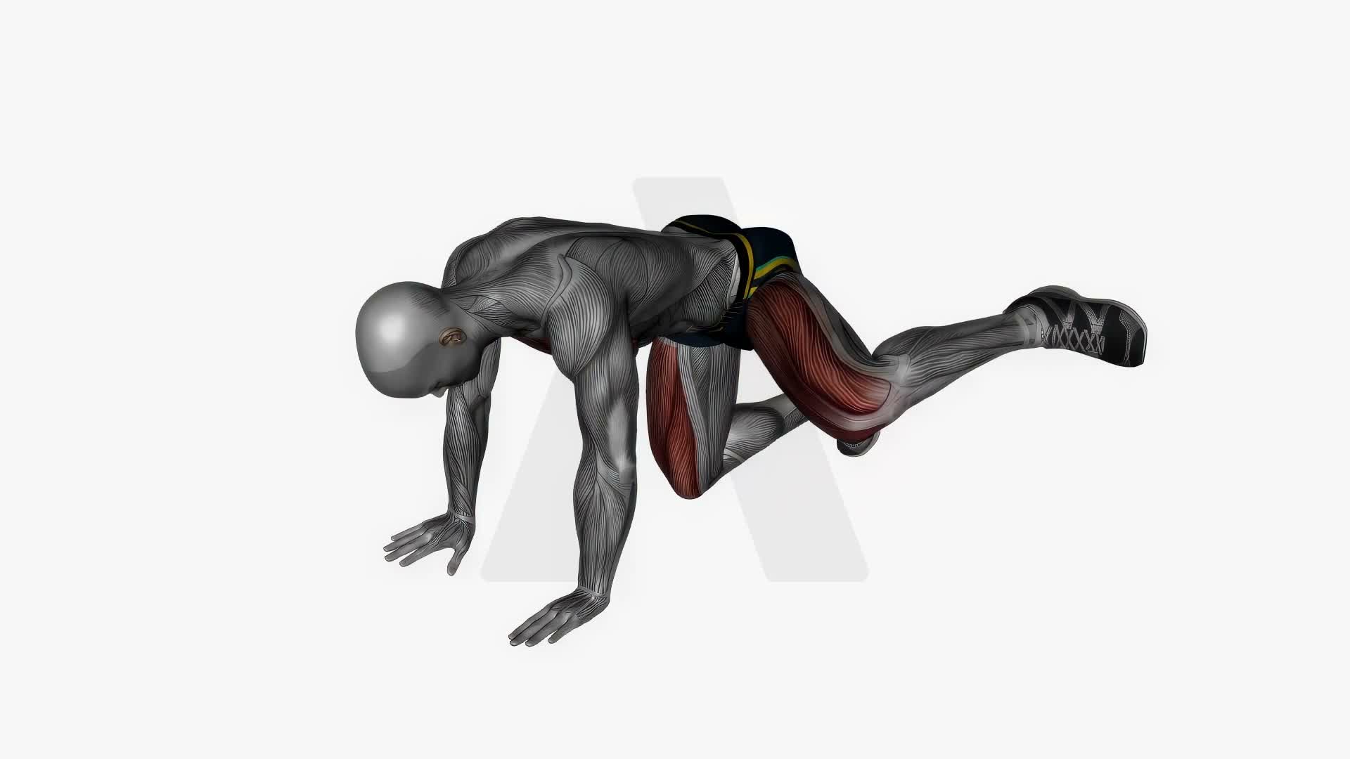Fire Hydrant Circle Bodyweight exercise demonstration