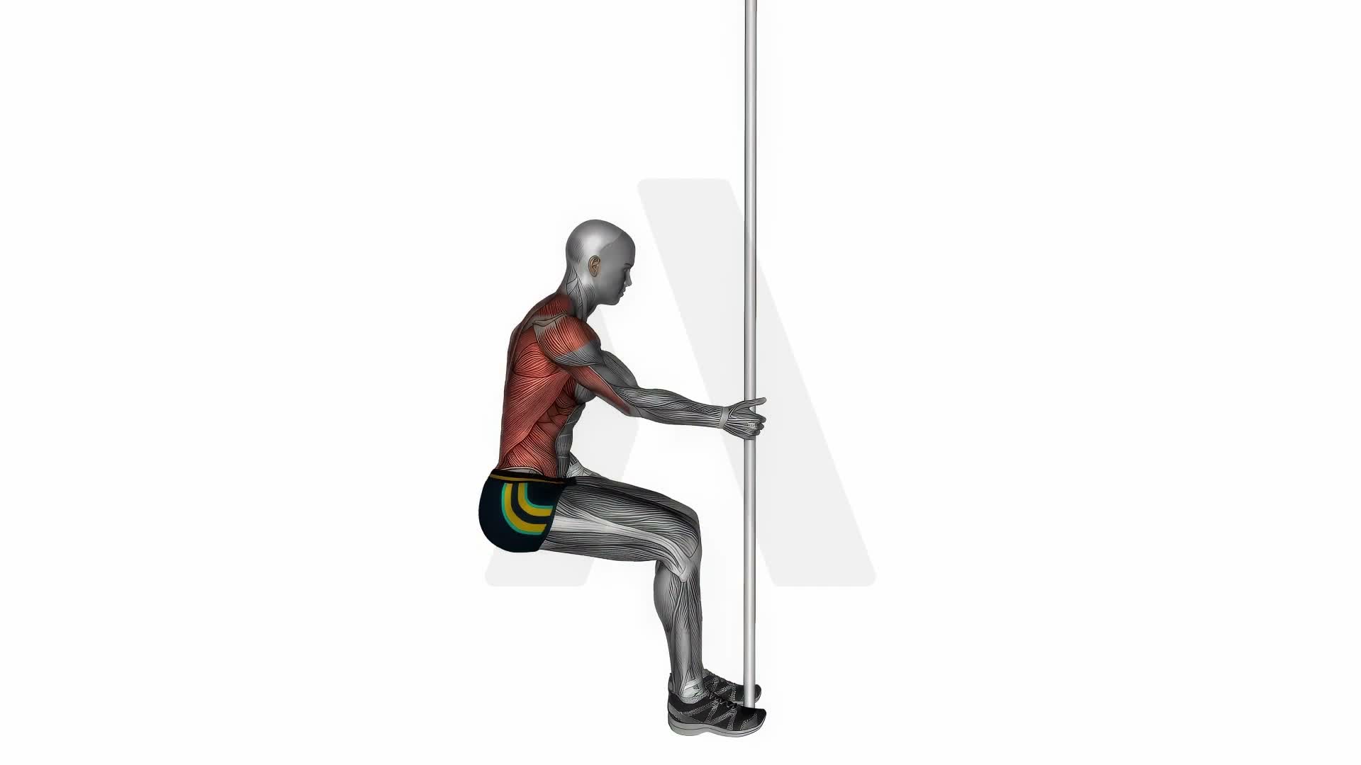 Fixed Bar Stretch exercise demonstration