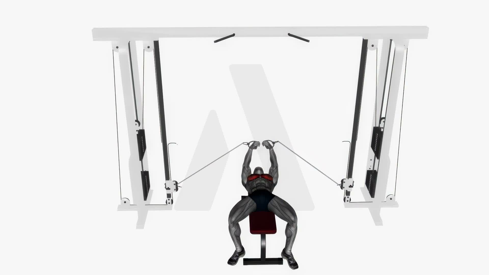Flat Bench Cable Fly exercise demonstration