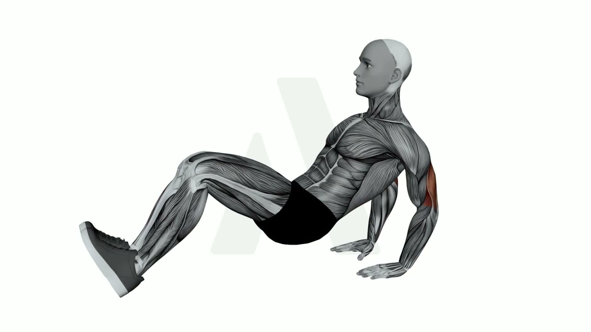 Floor Tricep Dip exercise demonstration