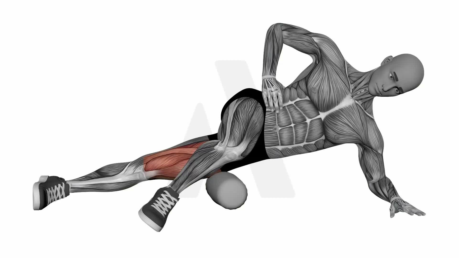 Foam Roller Lateral Quads exercise demonstration