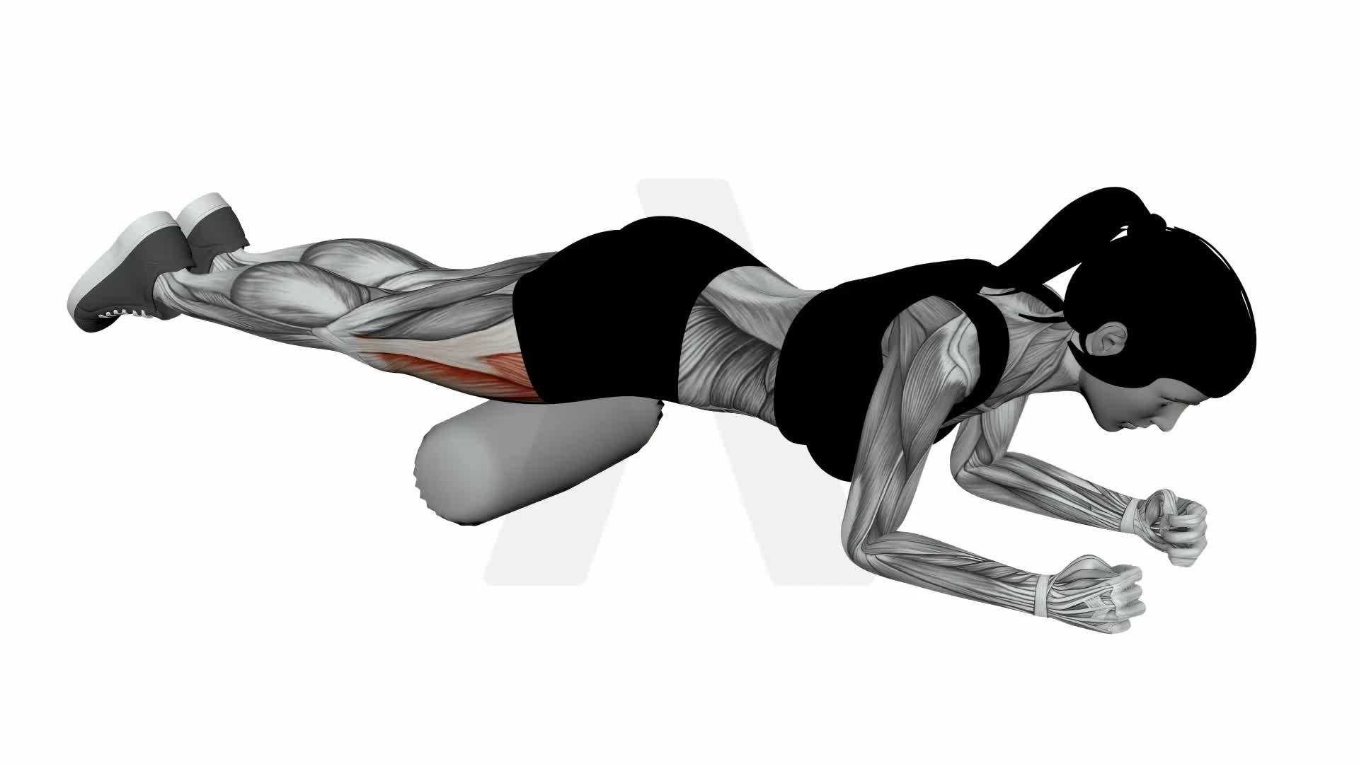 Foam Roller Quads exercise demonstration