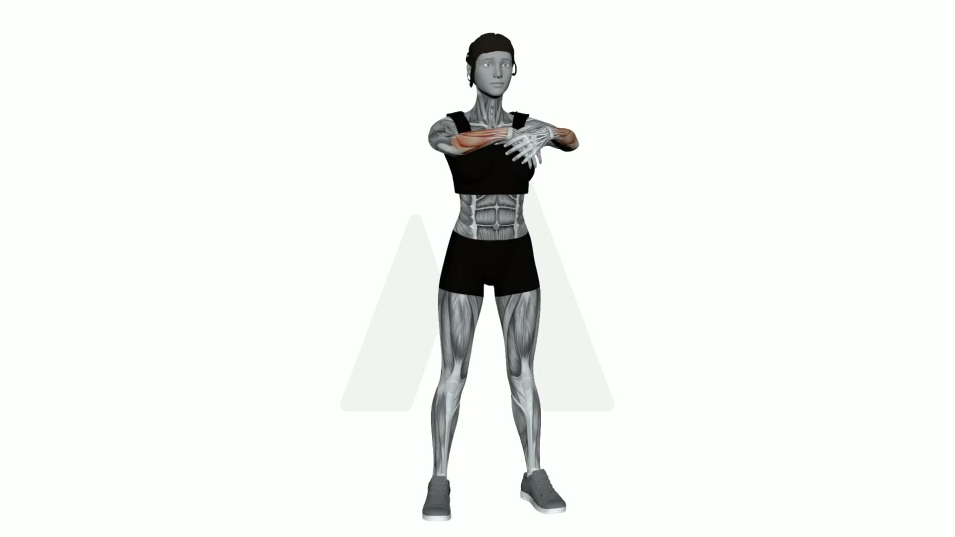 Forearms Pull With Opposite Hand Stretch exercise demonstration