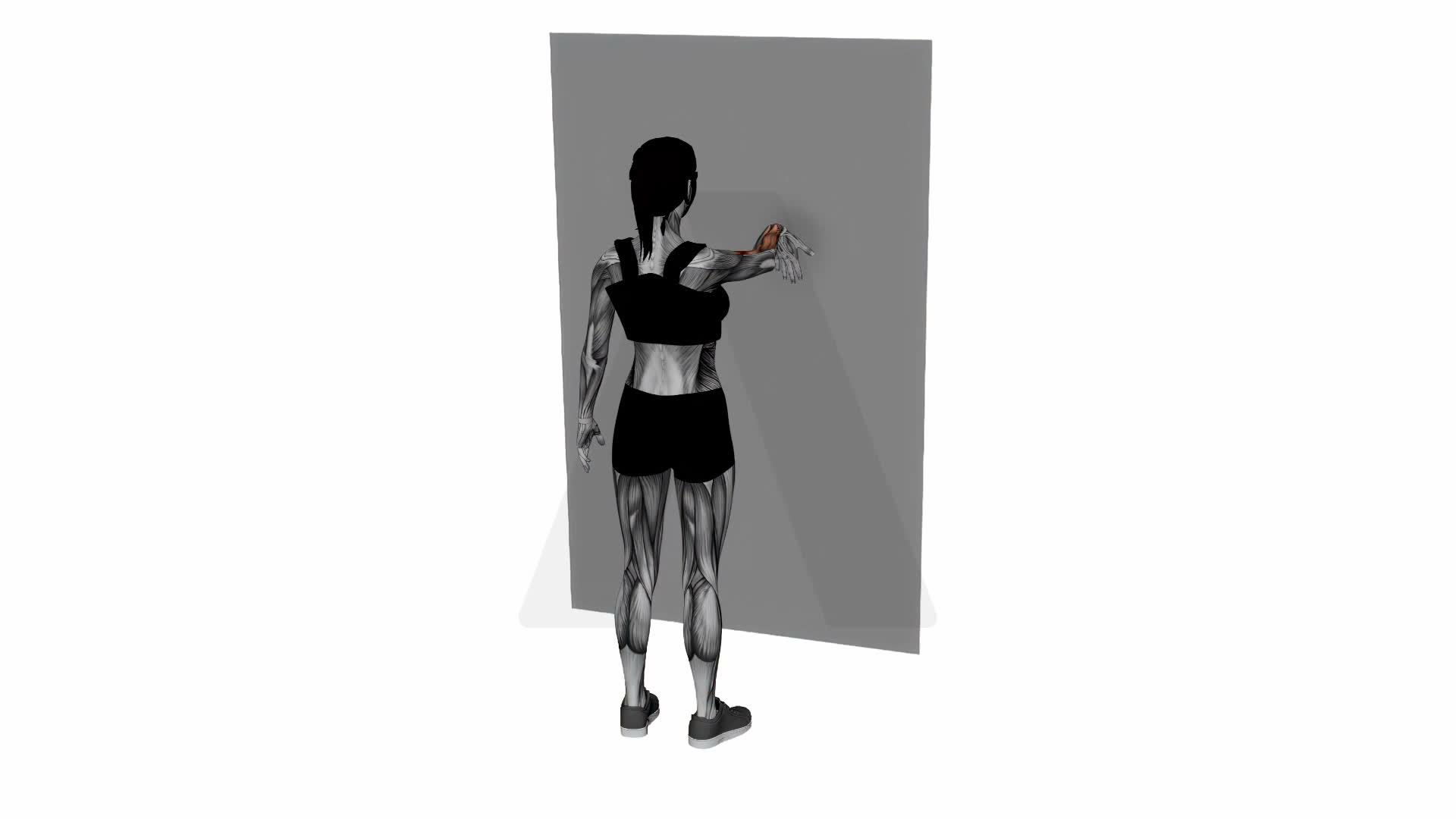 Forearms Stretch On Wall Fingers Facing Down exercise demonstration