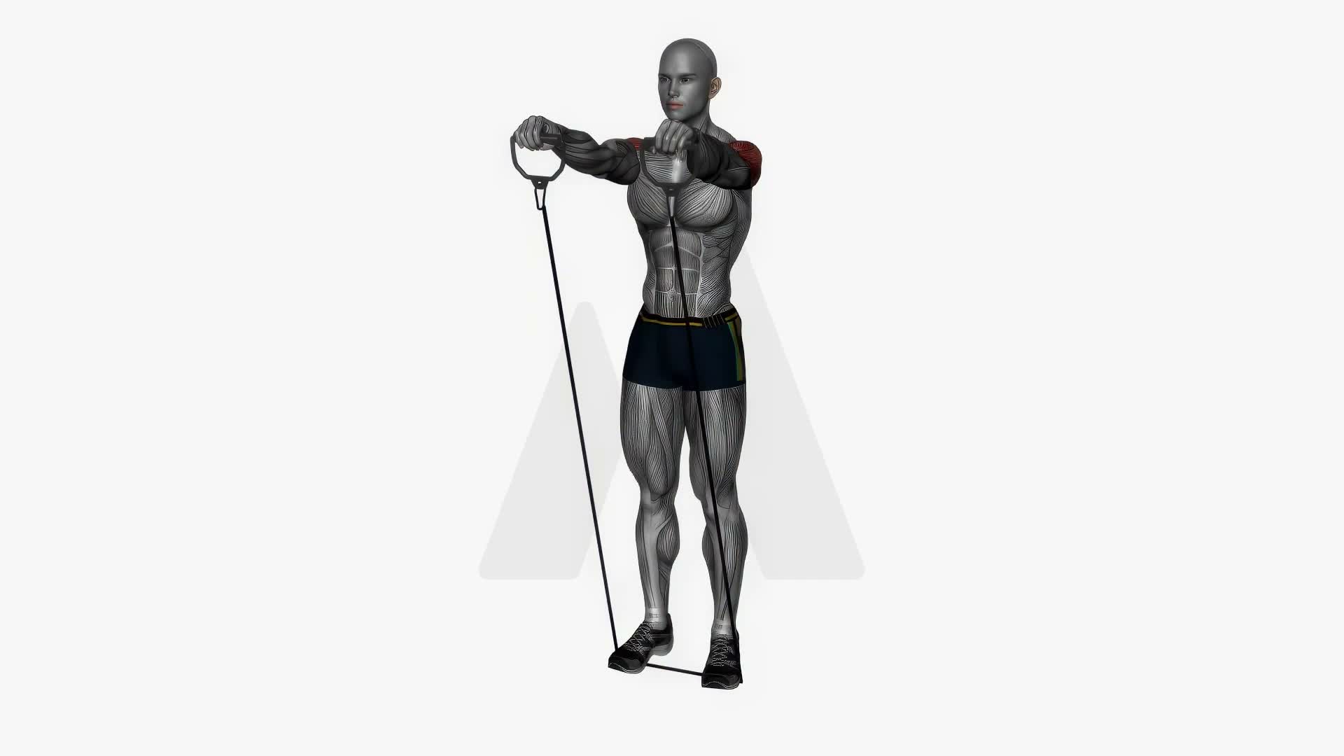 Front Raise Resistance Bands exercise demonstration