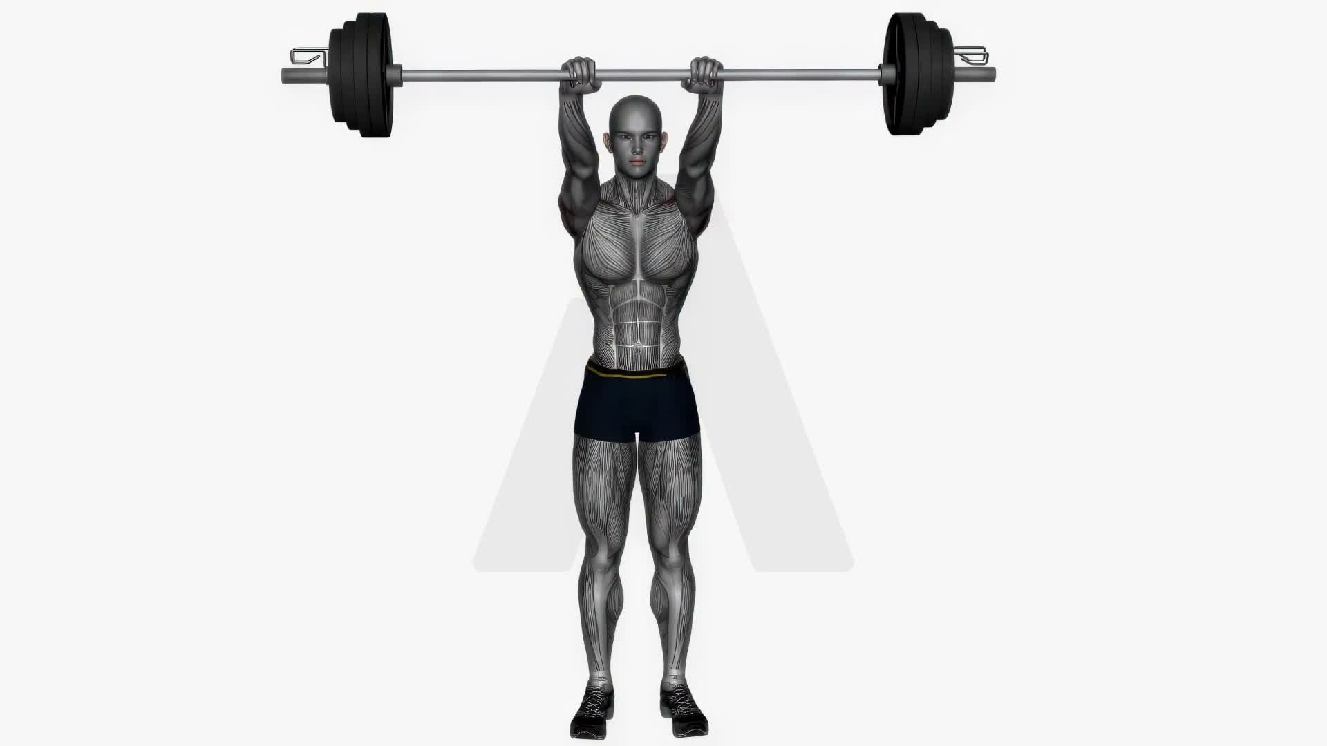 Front Raises Barbell exercise demonstration