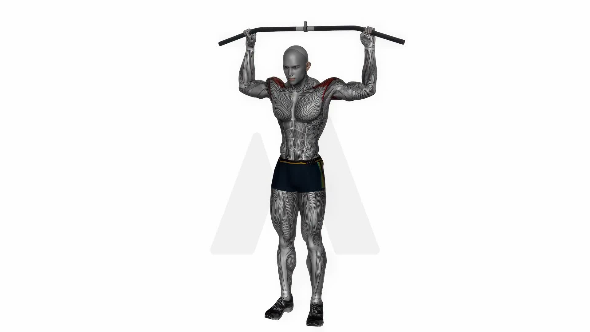 Front Shoulder Stretch With Bar exercise demonstration