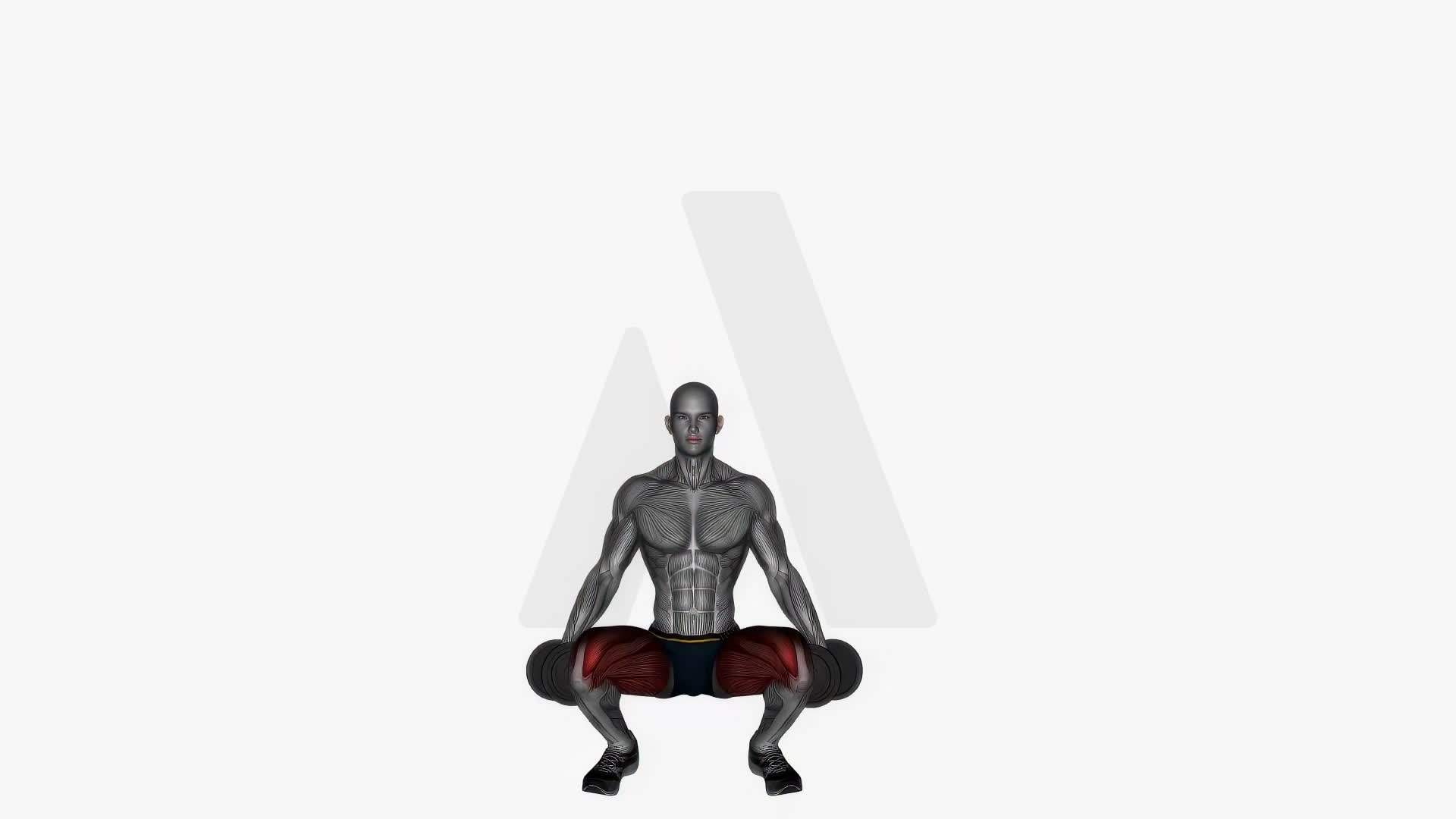 Front Squats Dumbbell Low exercise demonstration