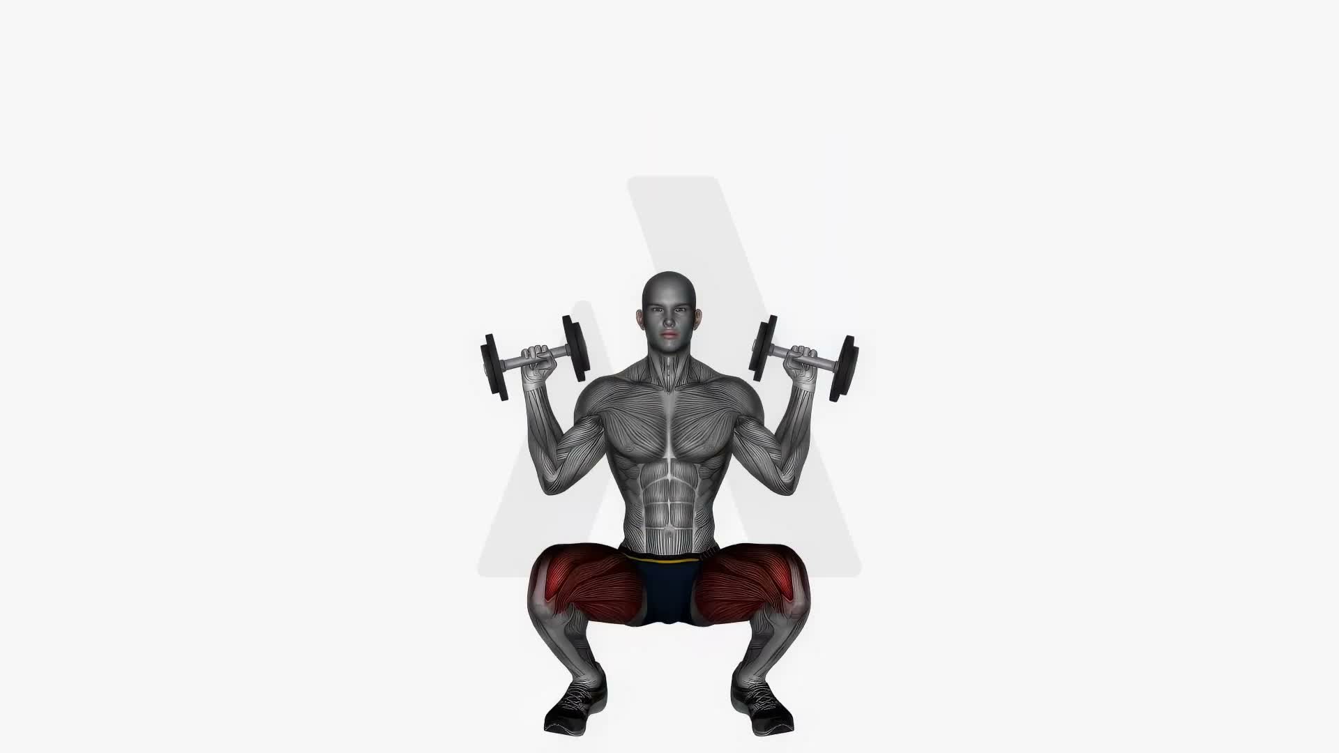 Front Squats Dumbbell Over Shoulders exercise demonstration