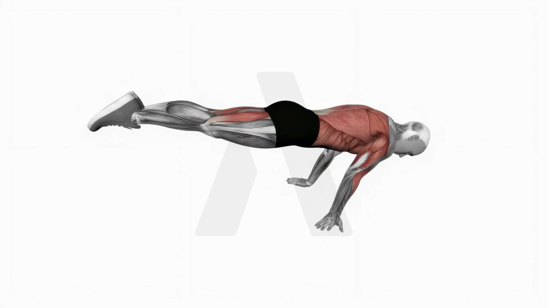 Full Planche Push Up exercise demonstration