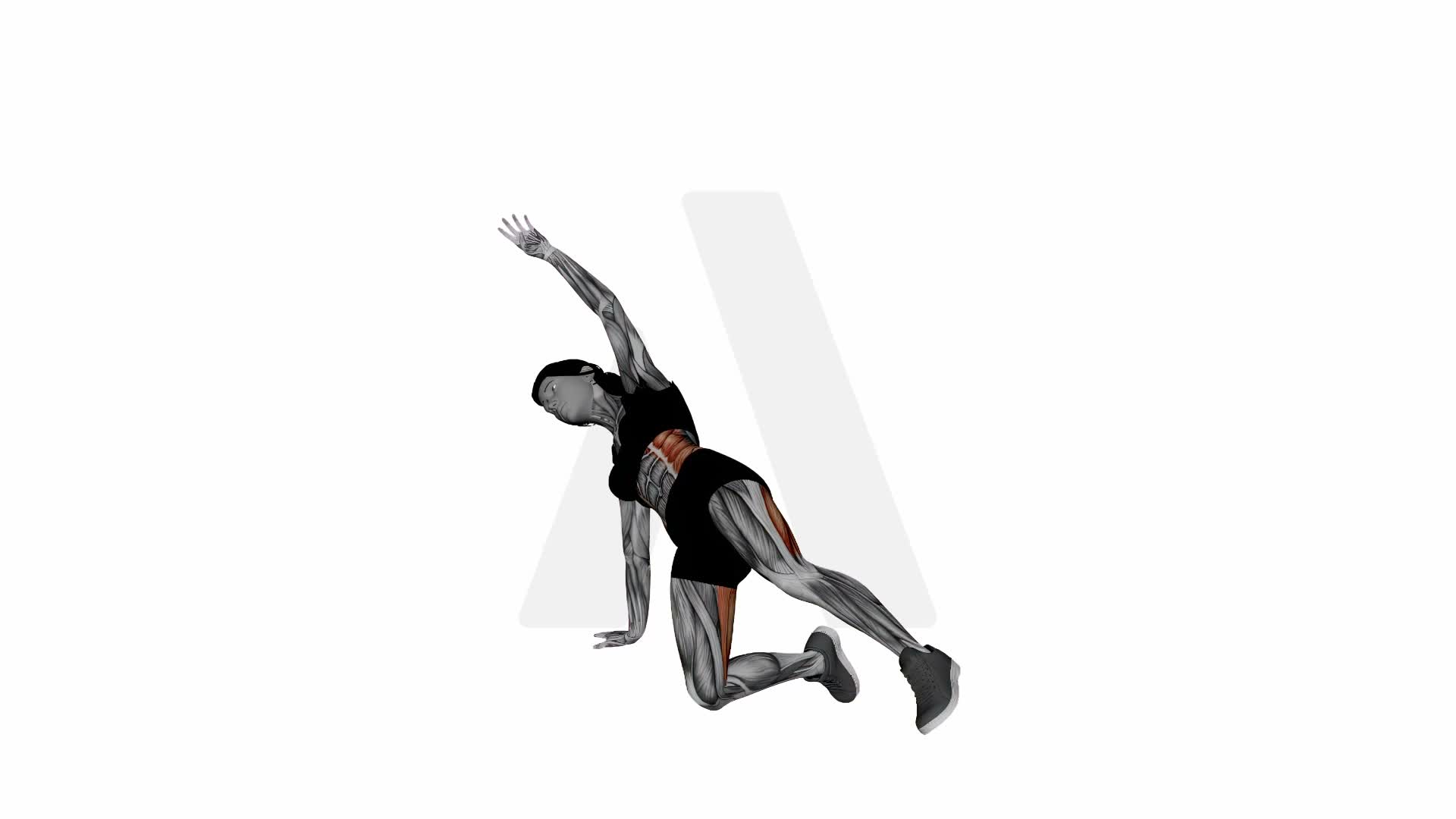 Gate Pose Rounding Spine Looking Up exercise demonstration