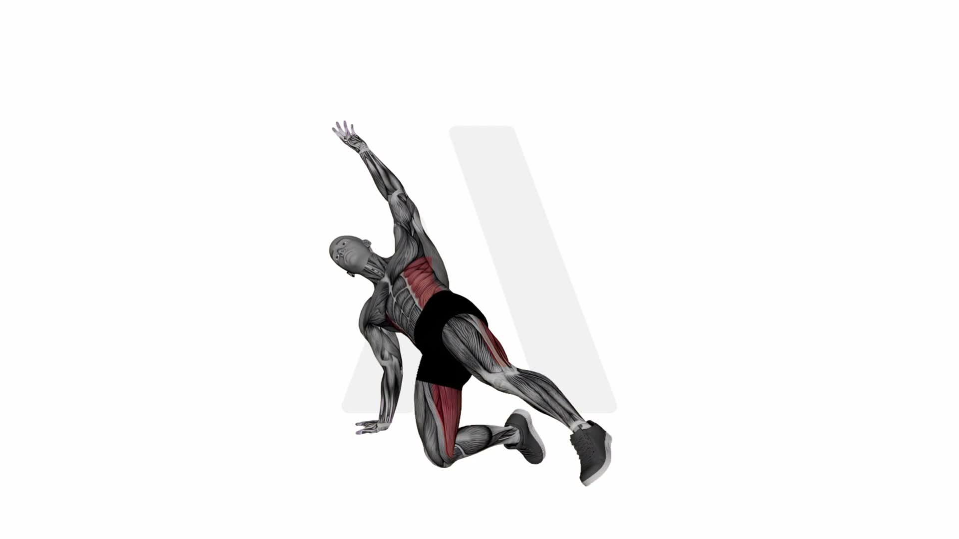 Gate Pose Variation Arm Extended On Side exercise demonstration