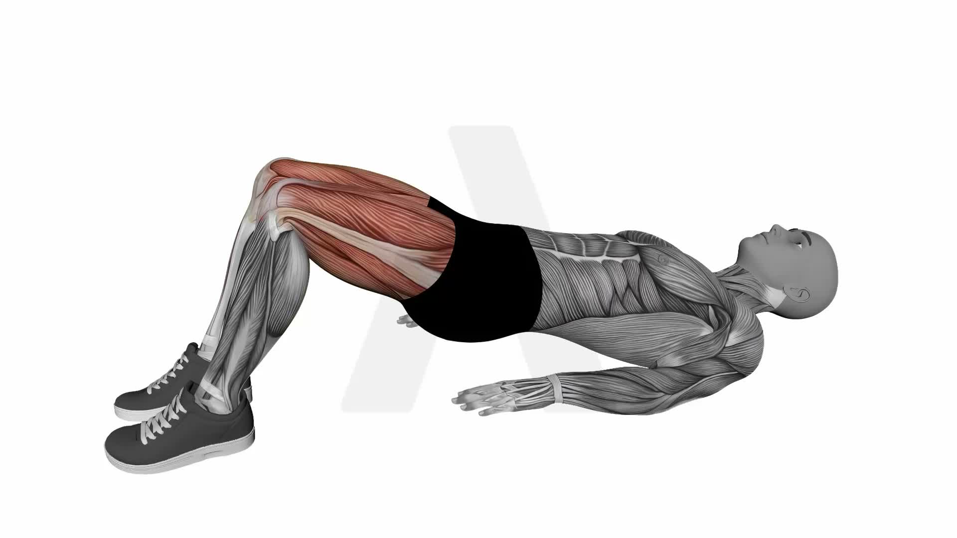 Glute Bridge With Abduction Bodyweight exercise demonstration