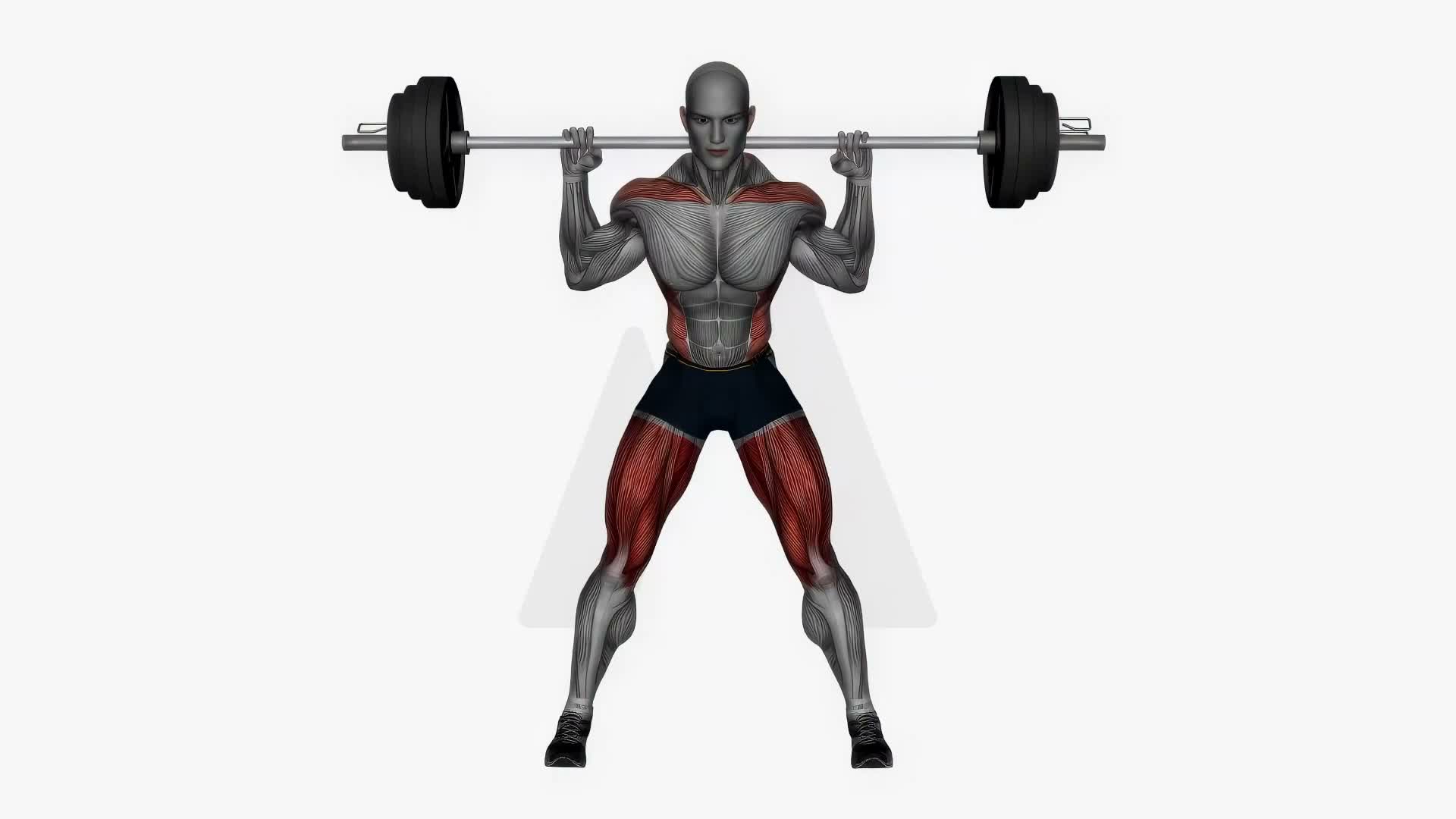 Good Mornings Barbell exercise demonstration