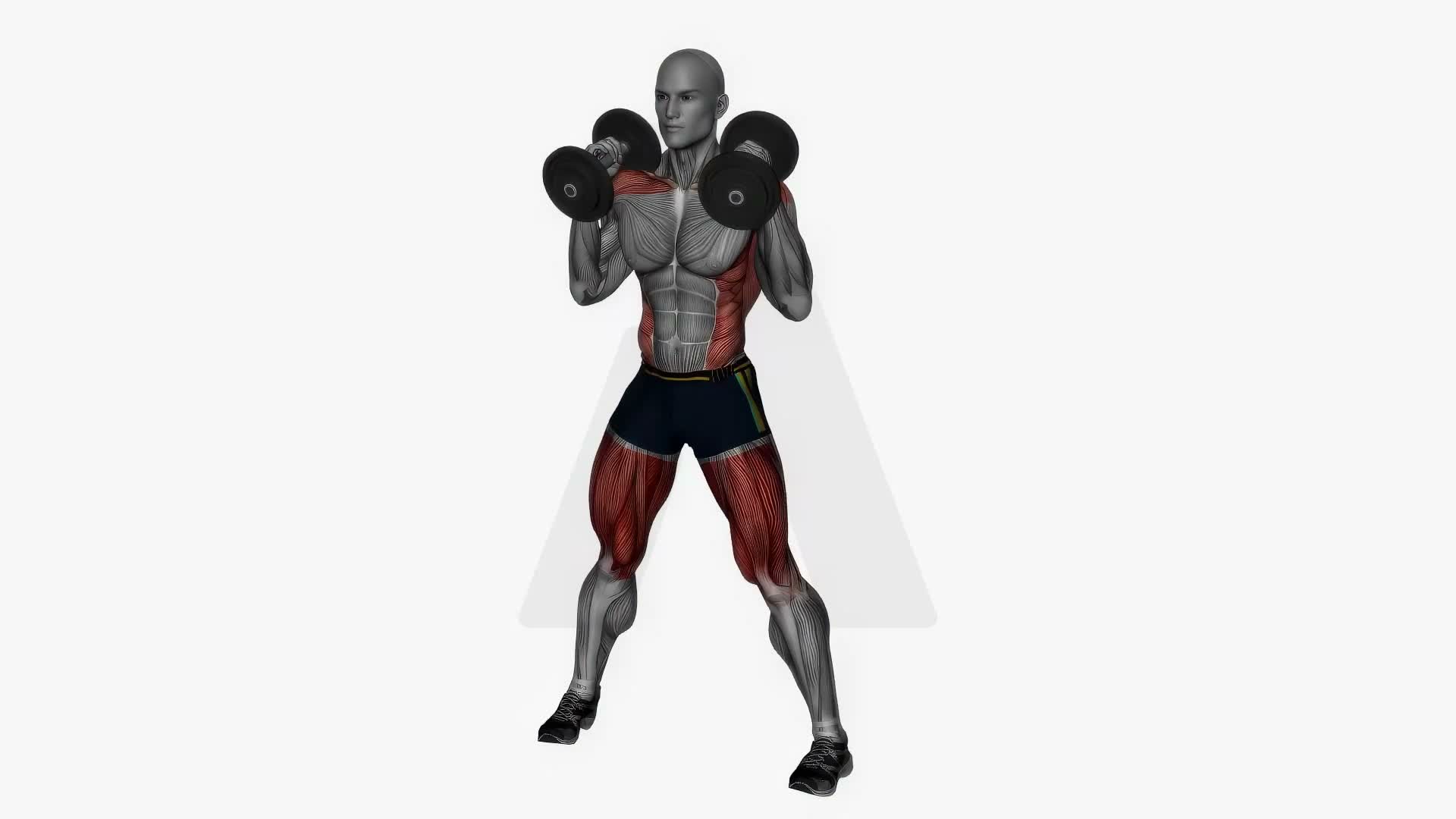 Good Mornings Dumbbells exercise demonstration