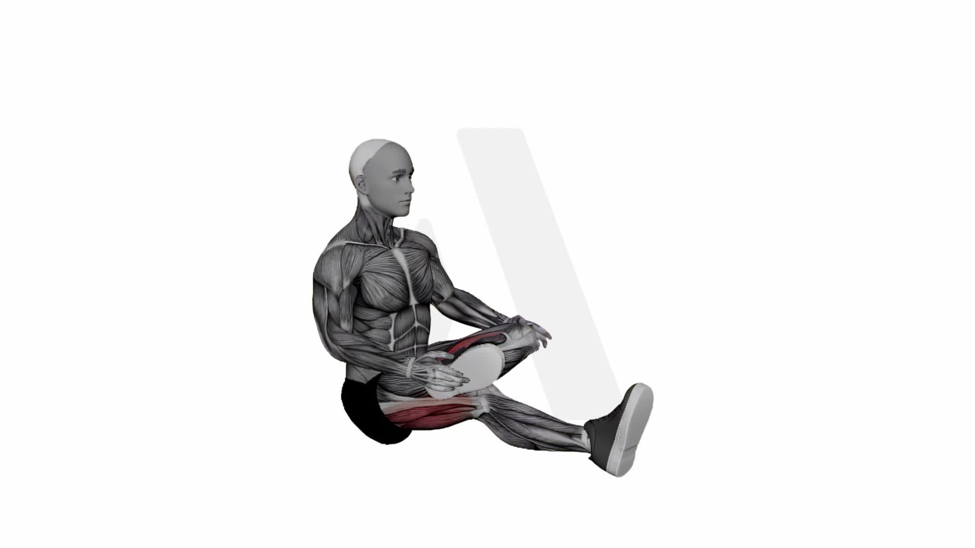 Half Lotus exercise demonstration