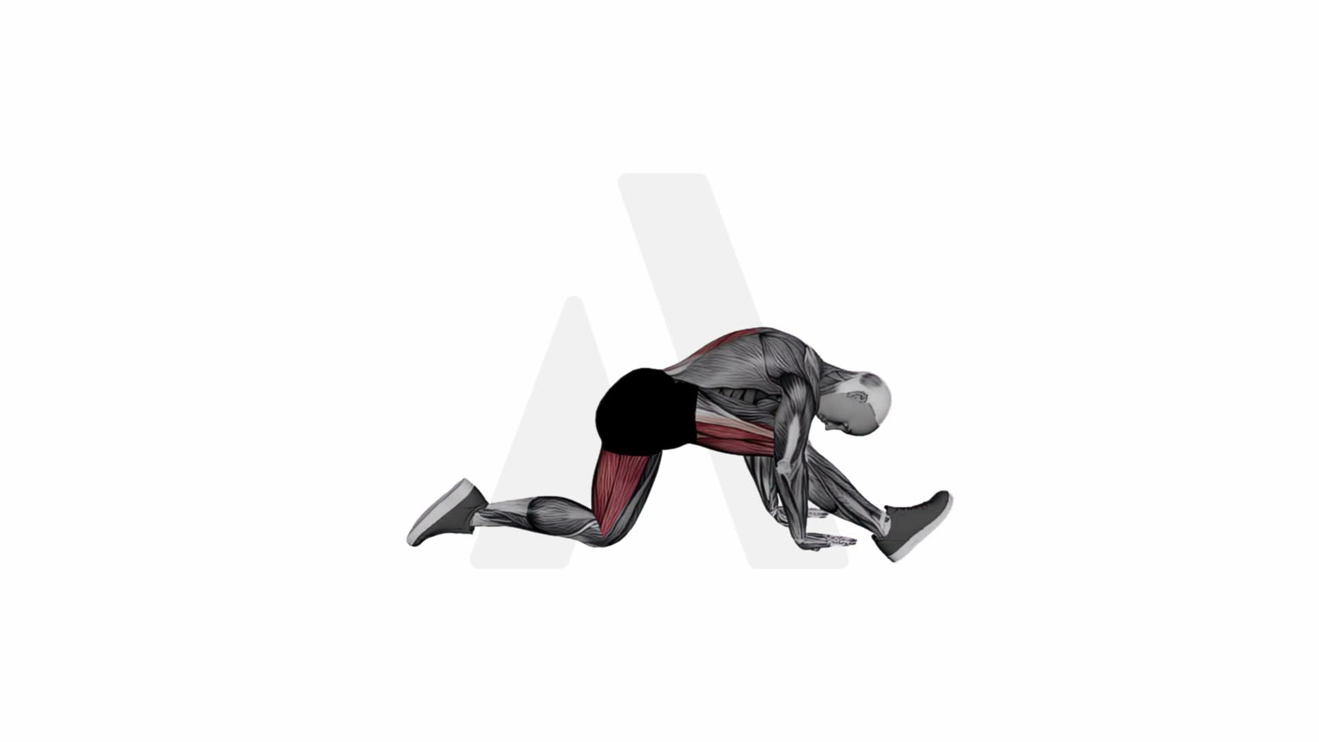 Half Monkey Pose exercise demonstration