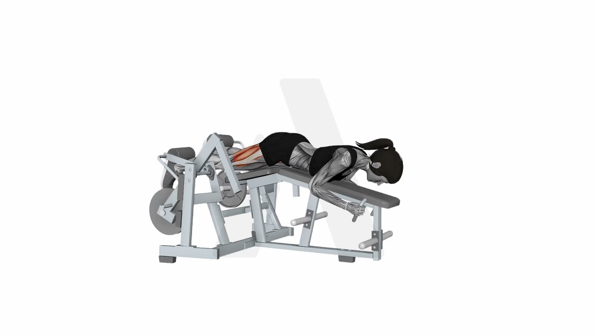 Hammer Strength Iso Lateral Leg Curl Alternating Legs exercise demonstration