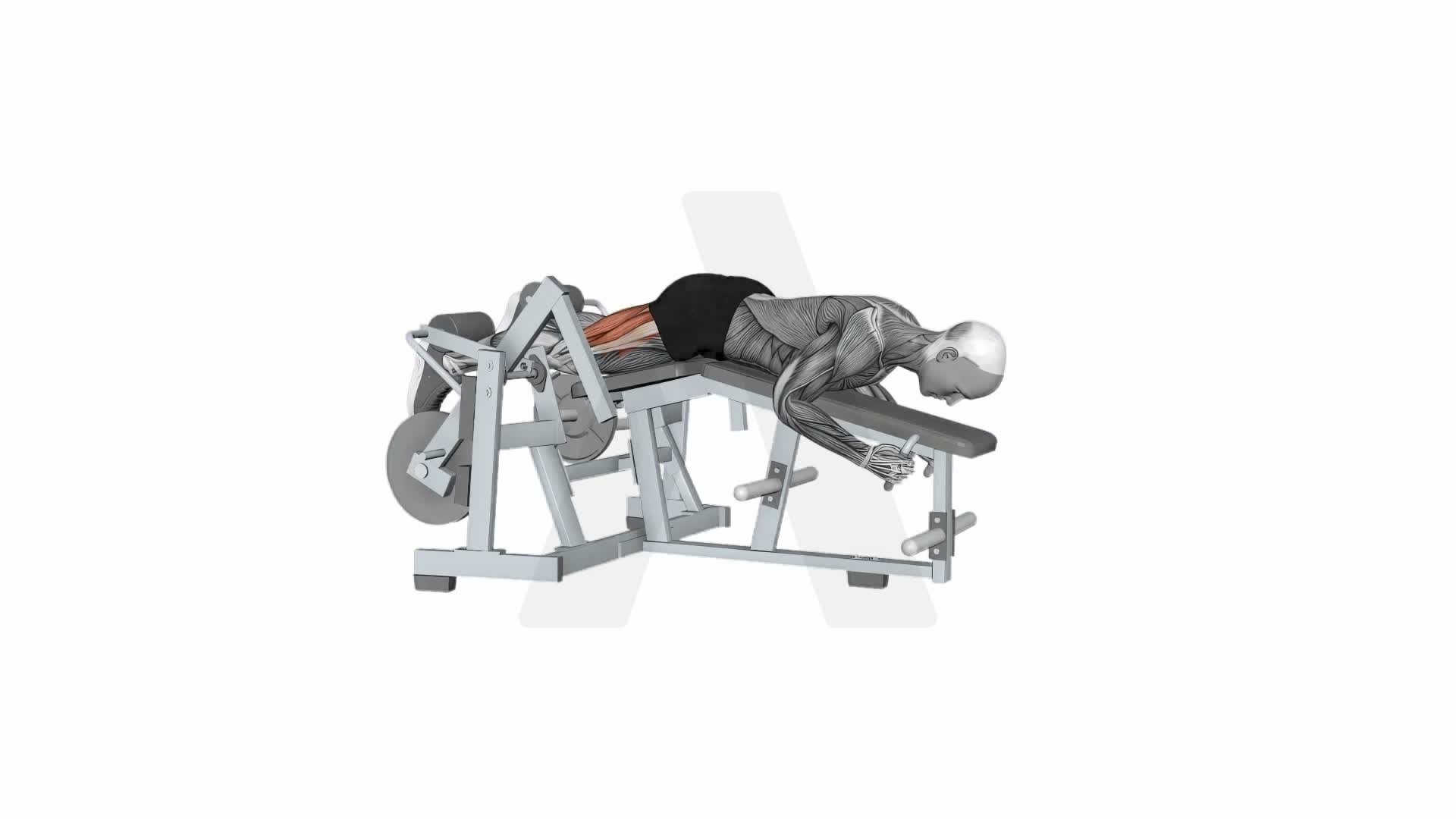 Hammer Strength Iso Lateral Leg Curl Alternate Legs exercise demonstration