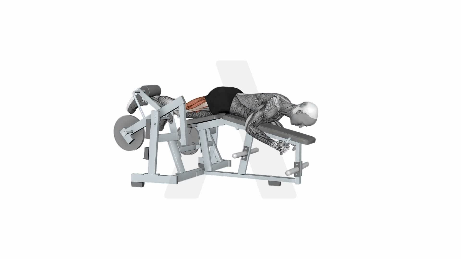 Hammer Strength Iso Lateral Leg Curl Single Leg exercise demonstration