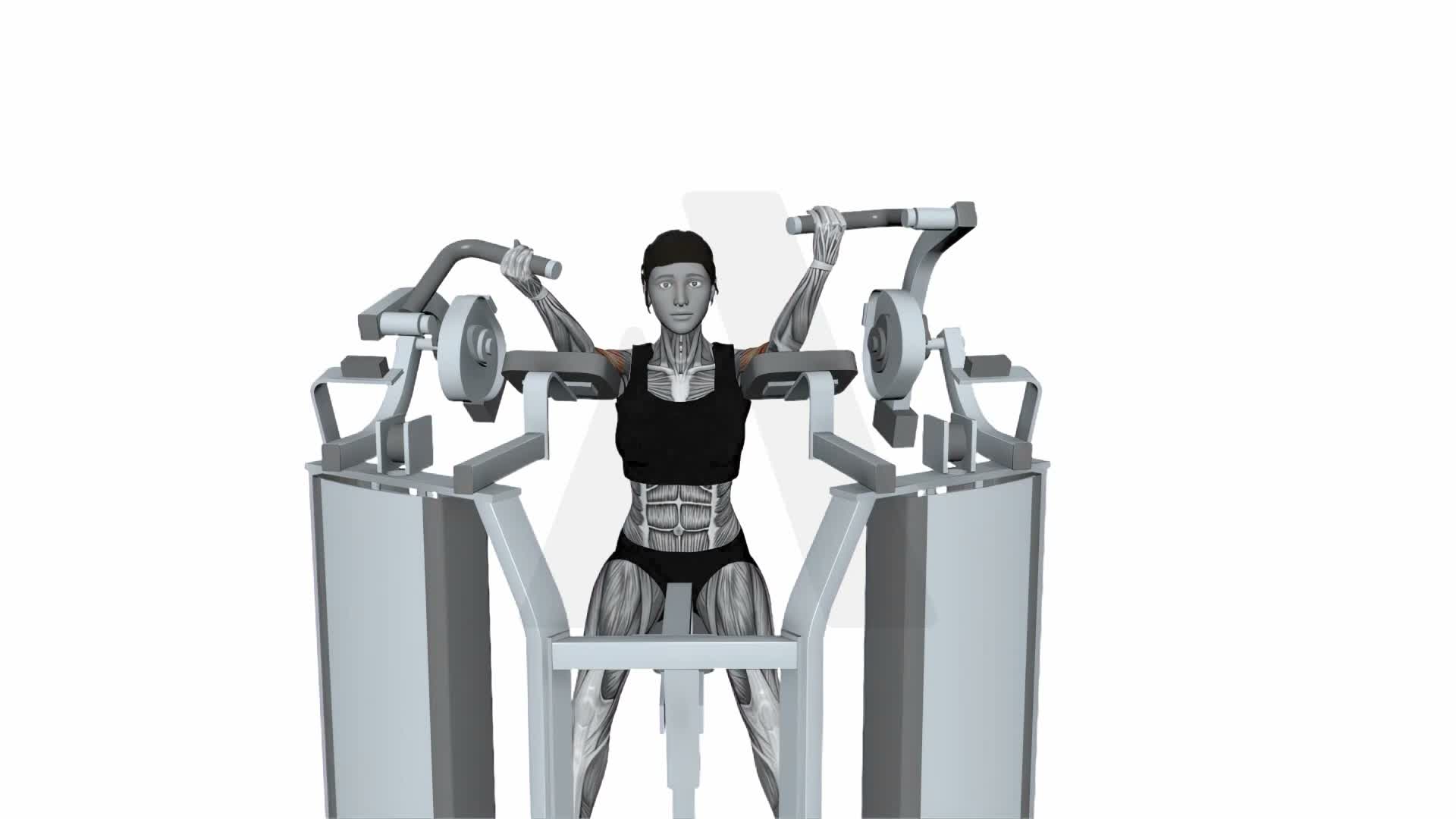 Hammer Strength Mts Iso Lateral Biceps Curl Alternate Arm exercise demonstration