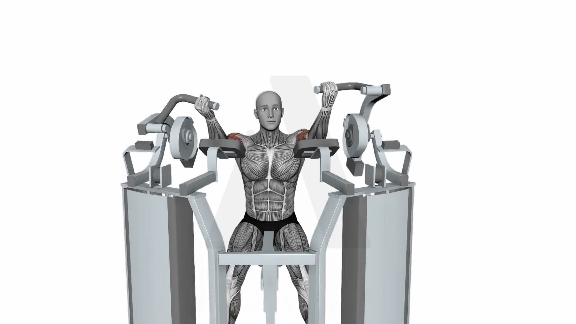 Hammer Strength Mts Iso Lateral Biceps Curl Arm Alternating exercise demonstration