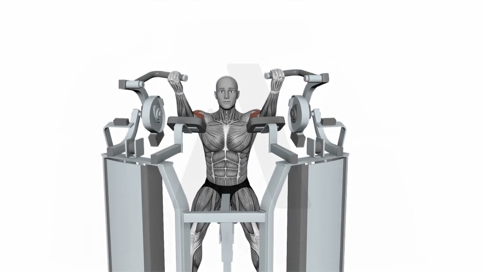 Hammer Strength Mts Iso Lateral Biceps Curl Both Arm exercise demonstration