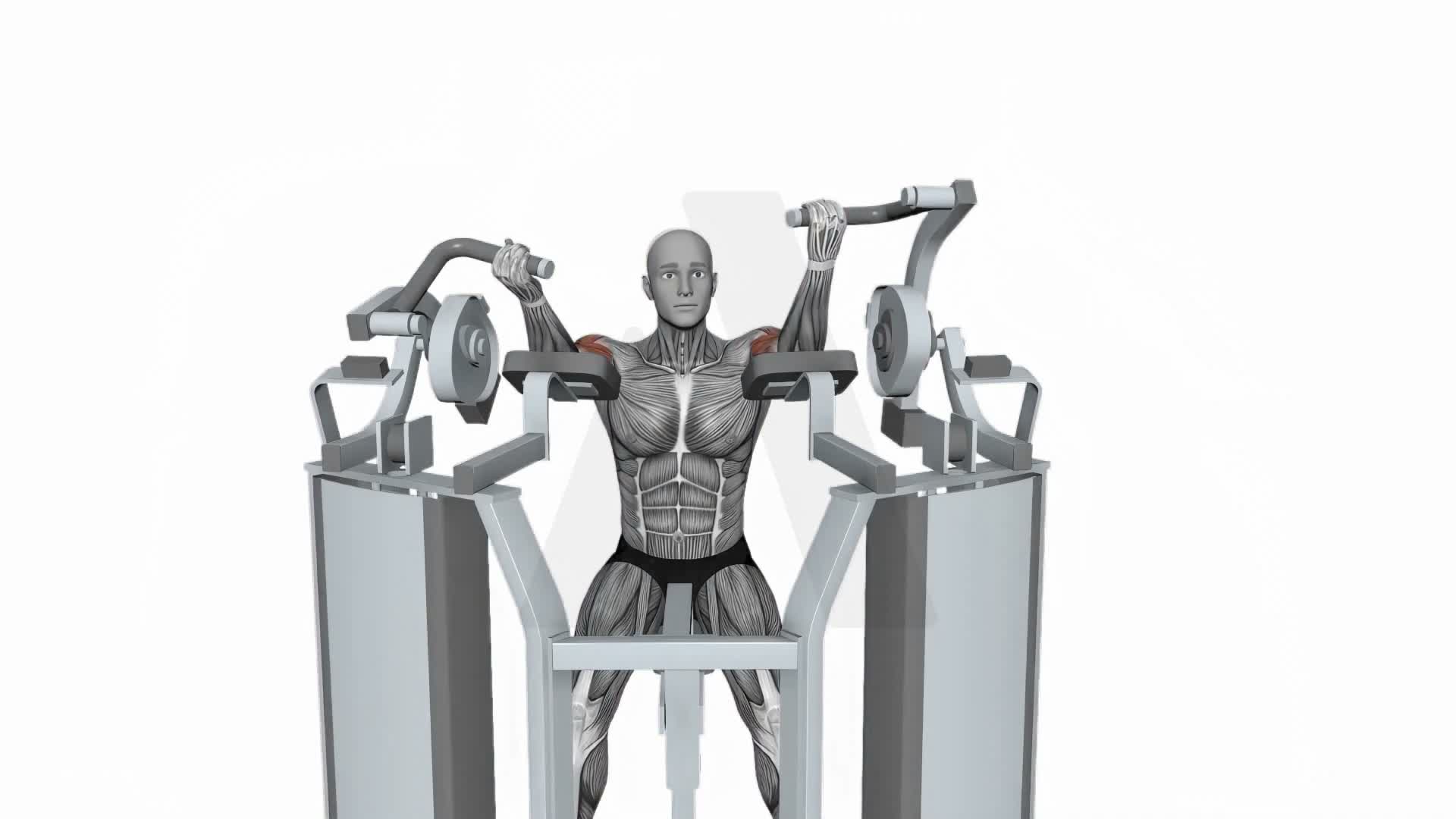 Hammer Strength Mts Iso Lateral Biceps Curl Single Arm exercise demonstration
