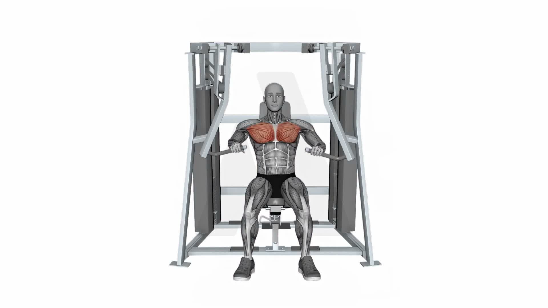 Hammer Strength Mts Iso Lateral Decline Press Alternate Arms exercise demonstration