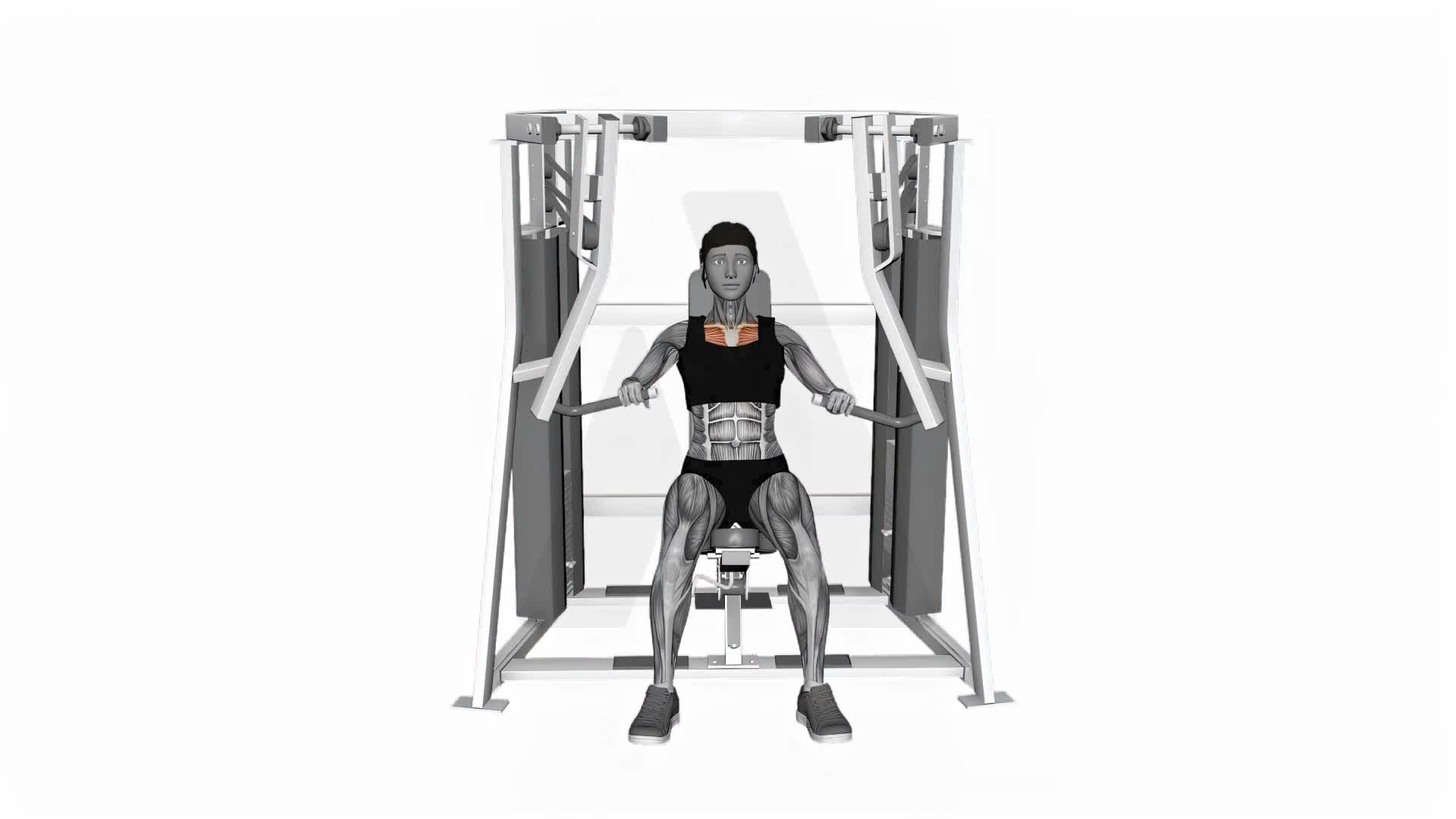 Hammer Strength Mts Iso Lateral Decline Press Alternating Arms exercise demonstration