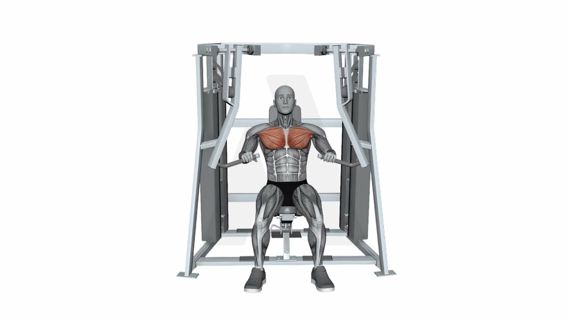 Hammer Strength Mts Iso Lateral Decline Press Both Arms exercise demonstration