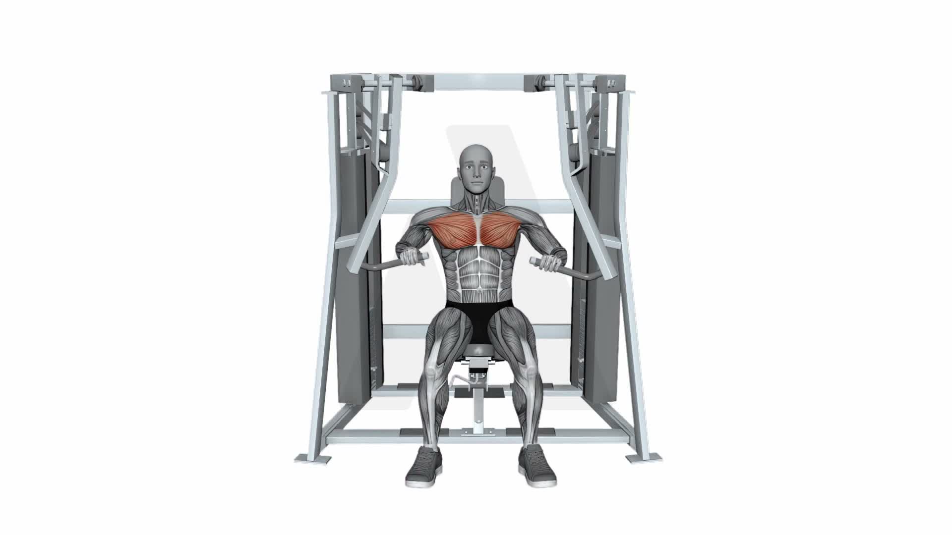 Hammer Strength Mts Iso Lateral Decline Press Single Arm exercise demonstration