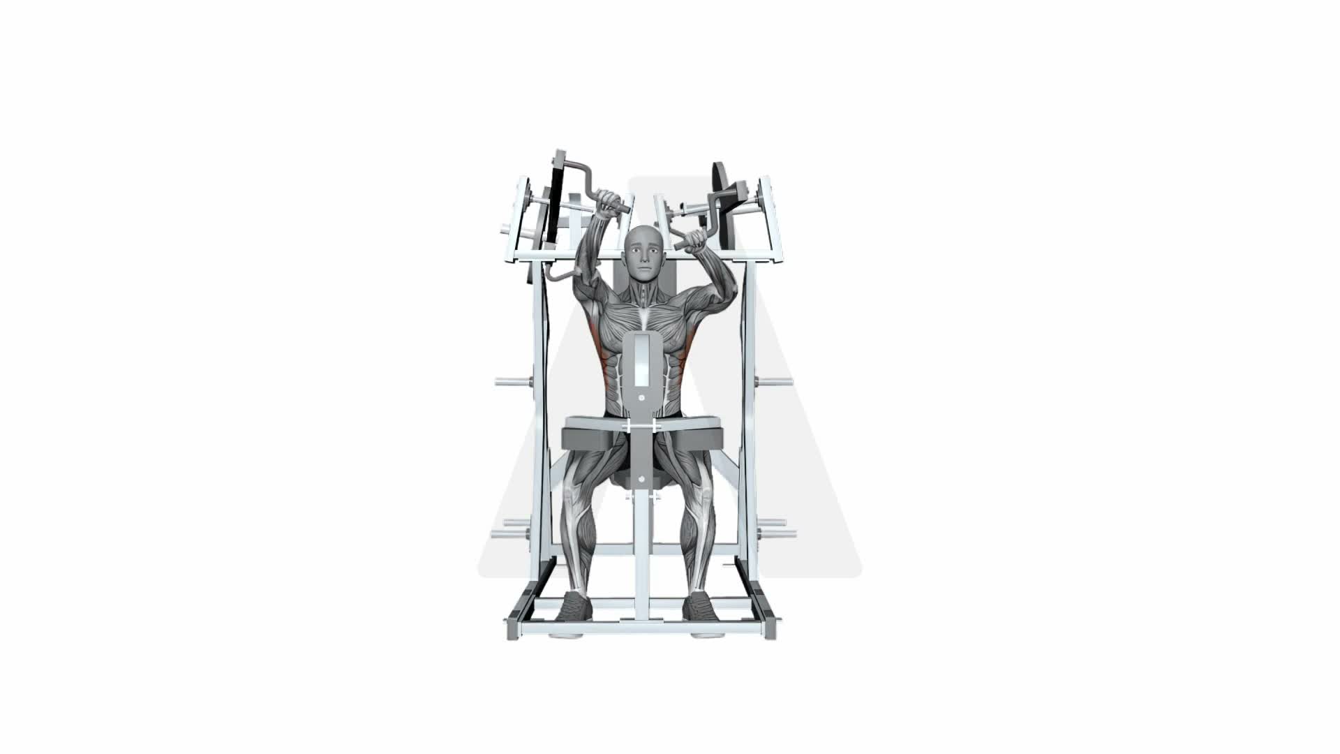 Hammer Strength Plate Loaded High Row Alternate Arms exercise demonstration