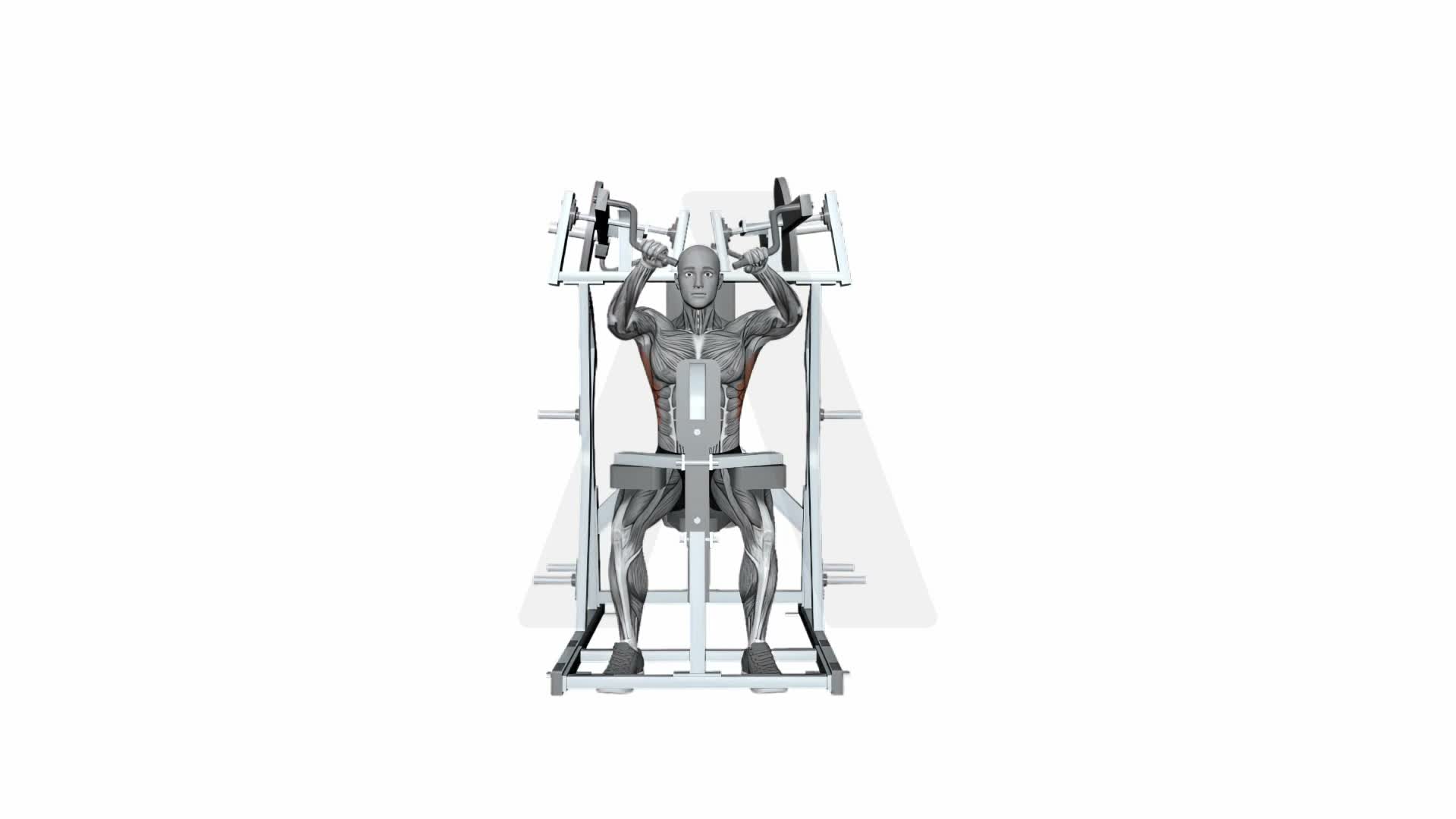 Hammer Strength Plate Loaded High Row Both Arms exercise demonstration