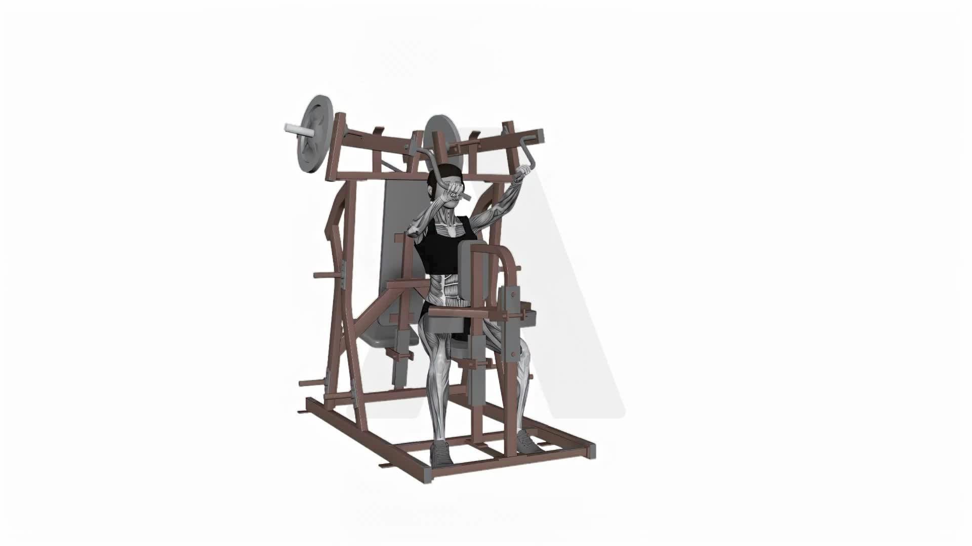 Hammer Strength Plate Loaded High Row Single Arms exercise demonstration