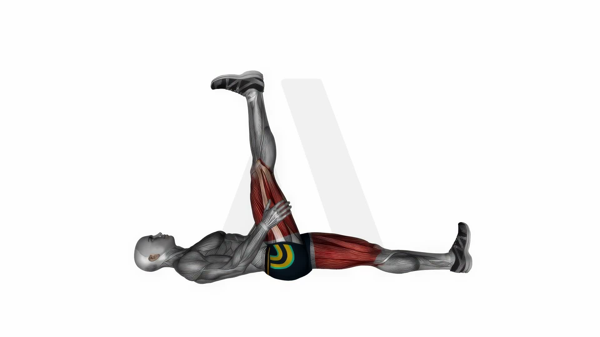 Hamstring Lying Curl Up Stretch exercise demonstration