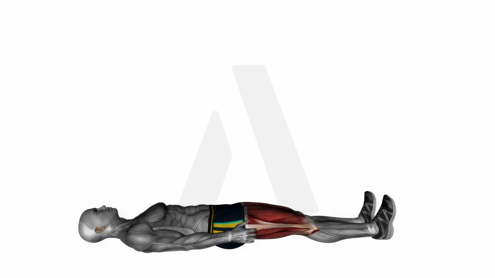 Hamstring Lying Straight Leg Stretch exercise demonstration