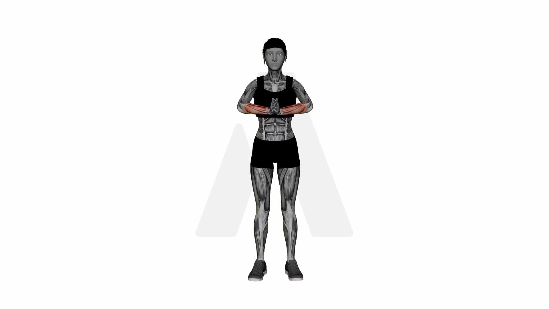 Hands Clapped Forearms Stretch exercise demonstration