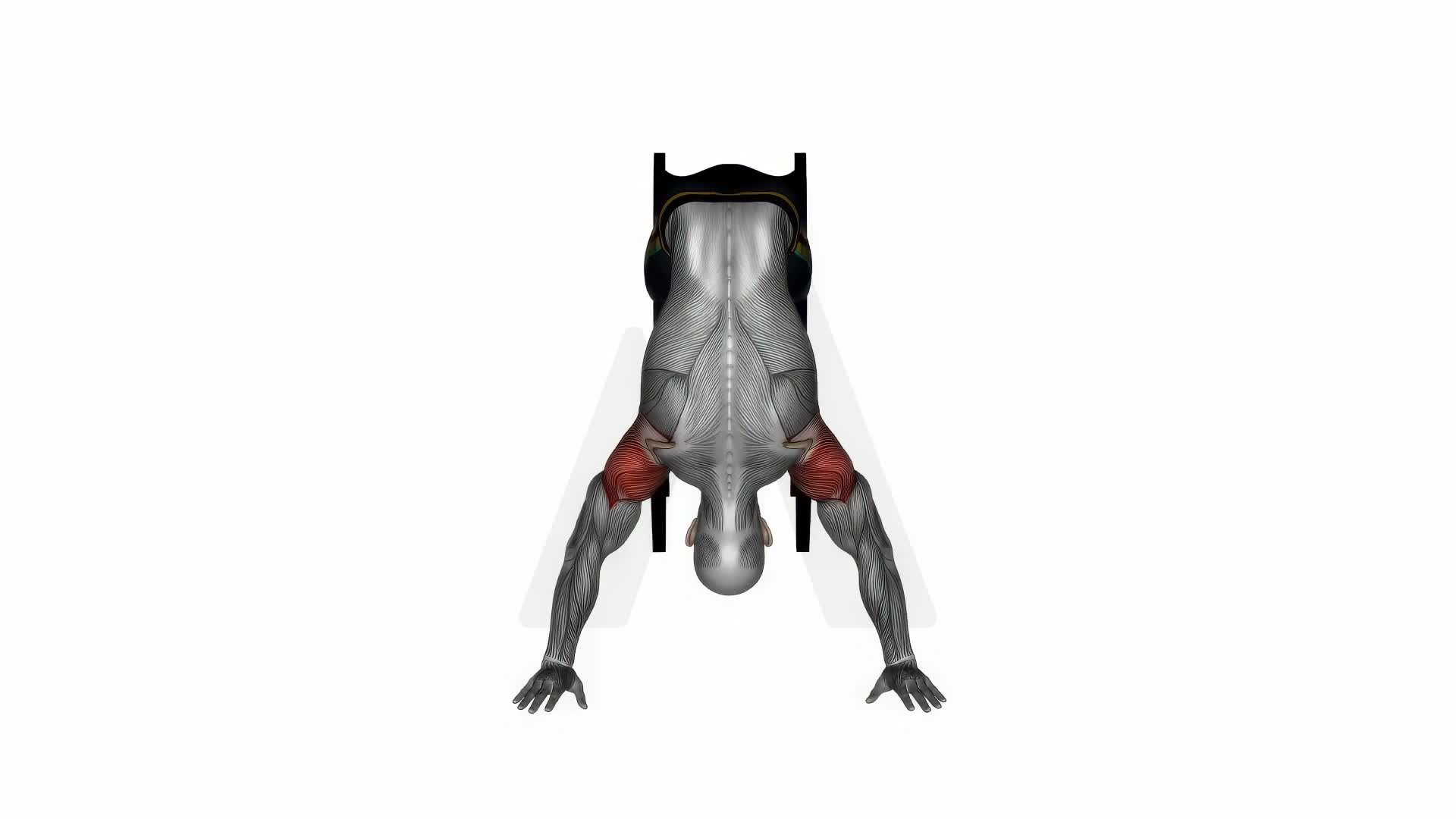 Handstand Push On Chair exercise demonstration