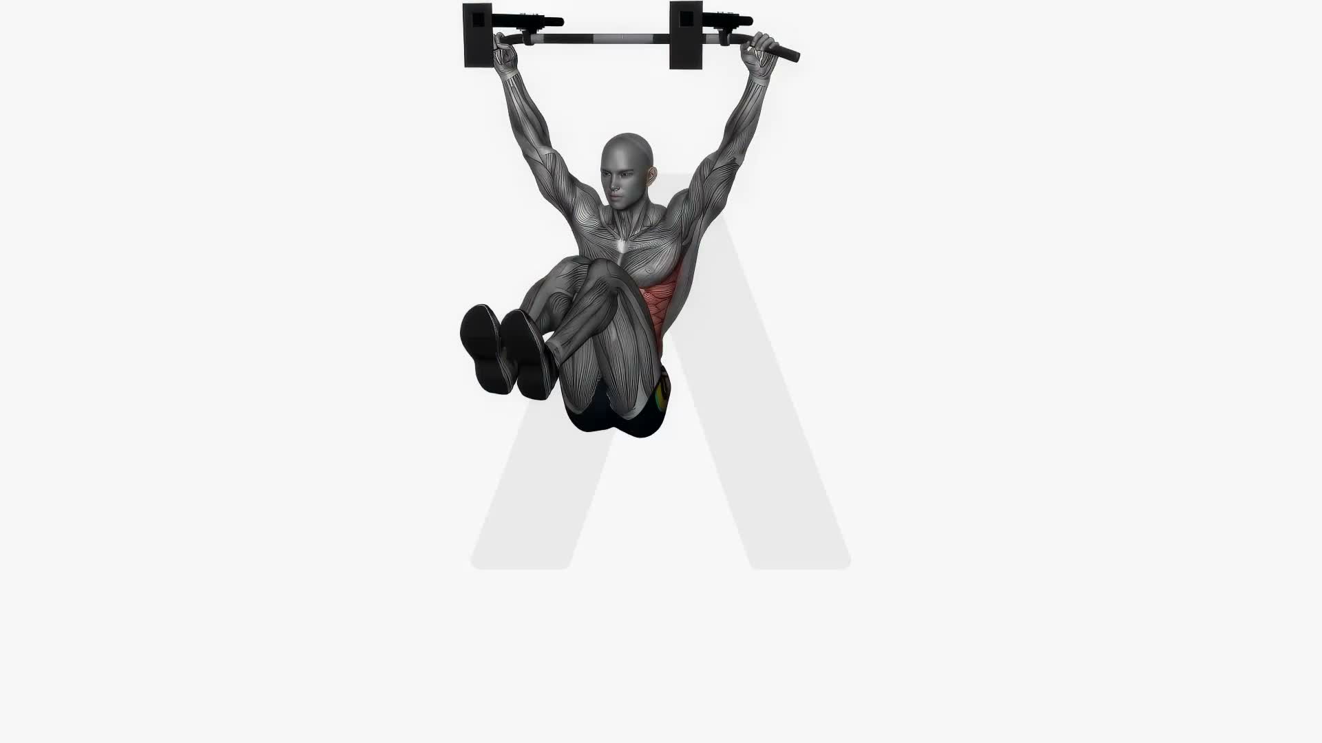 Hanging Knee Raises exercise demonstration