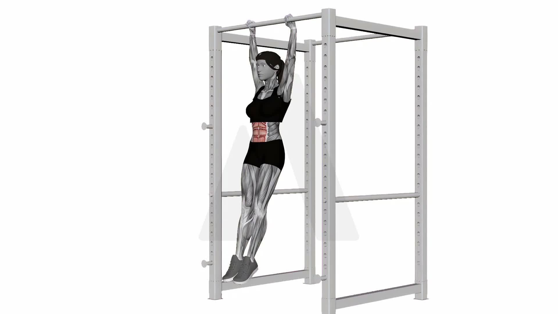 Hanging Leg Raise exercise demonstration
