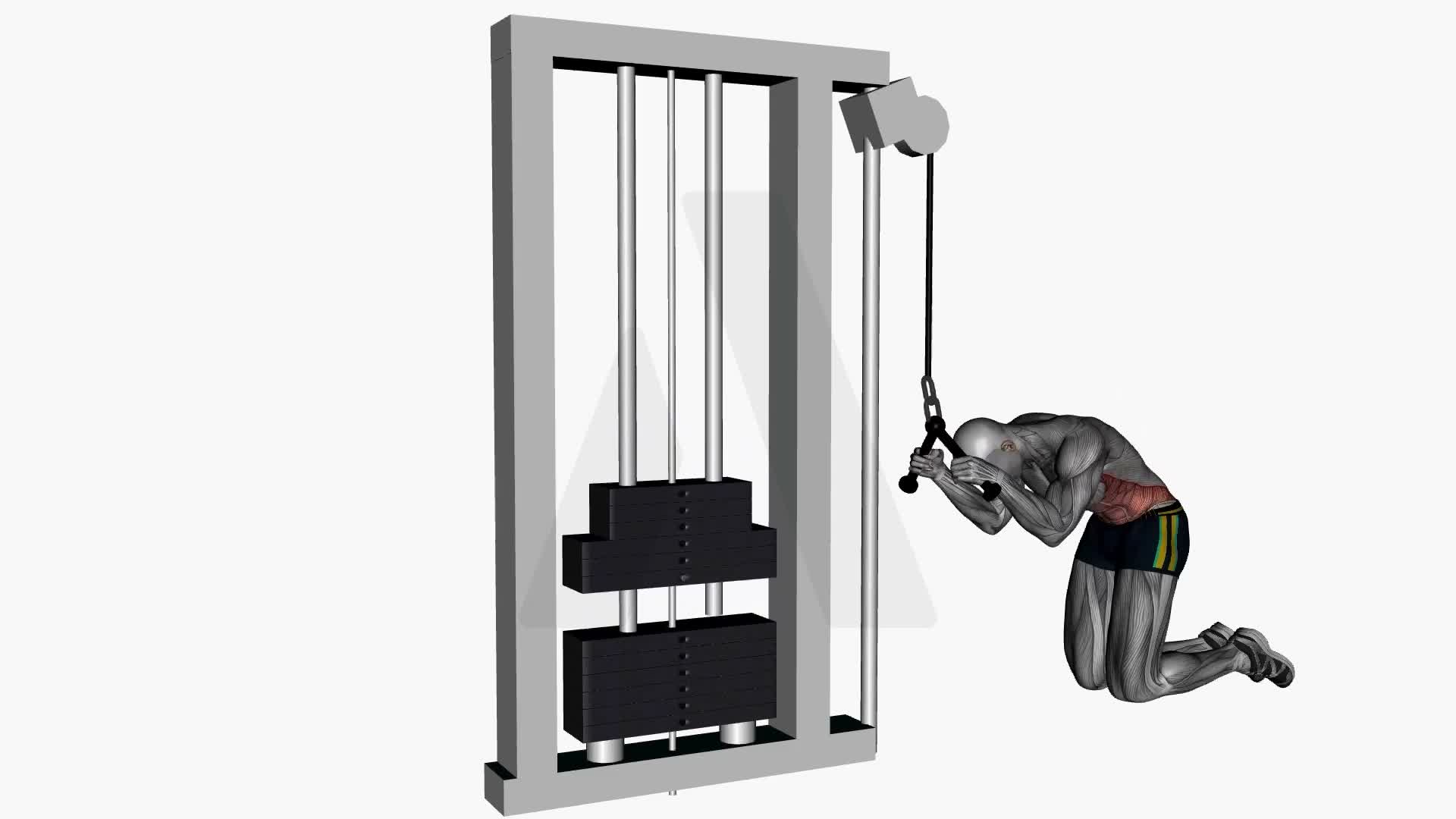 High Cable Kneeling Crunch exercise demonstration