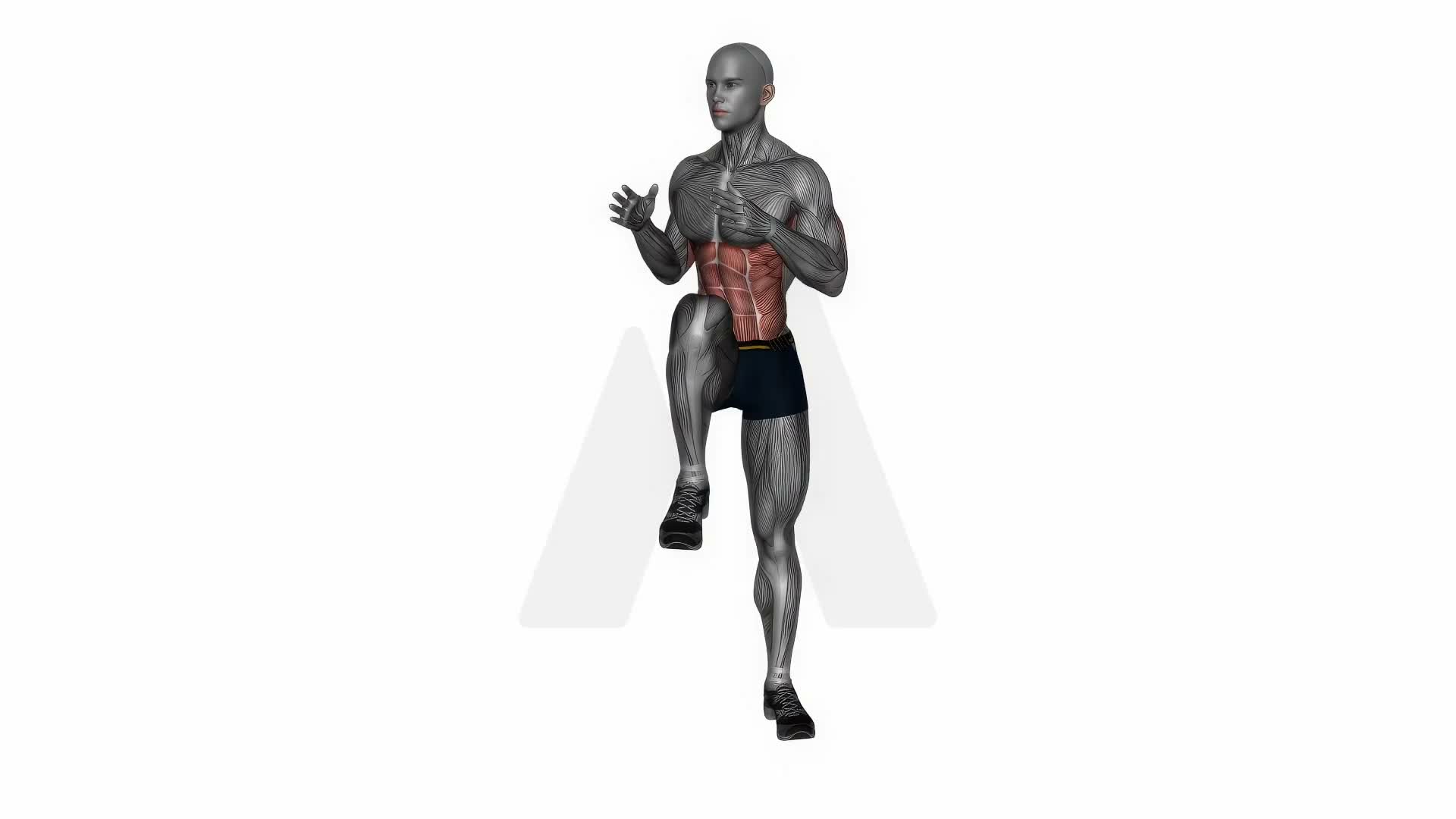 High Knee Twist exercise demonstration