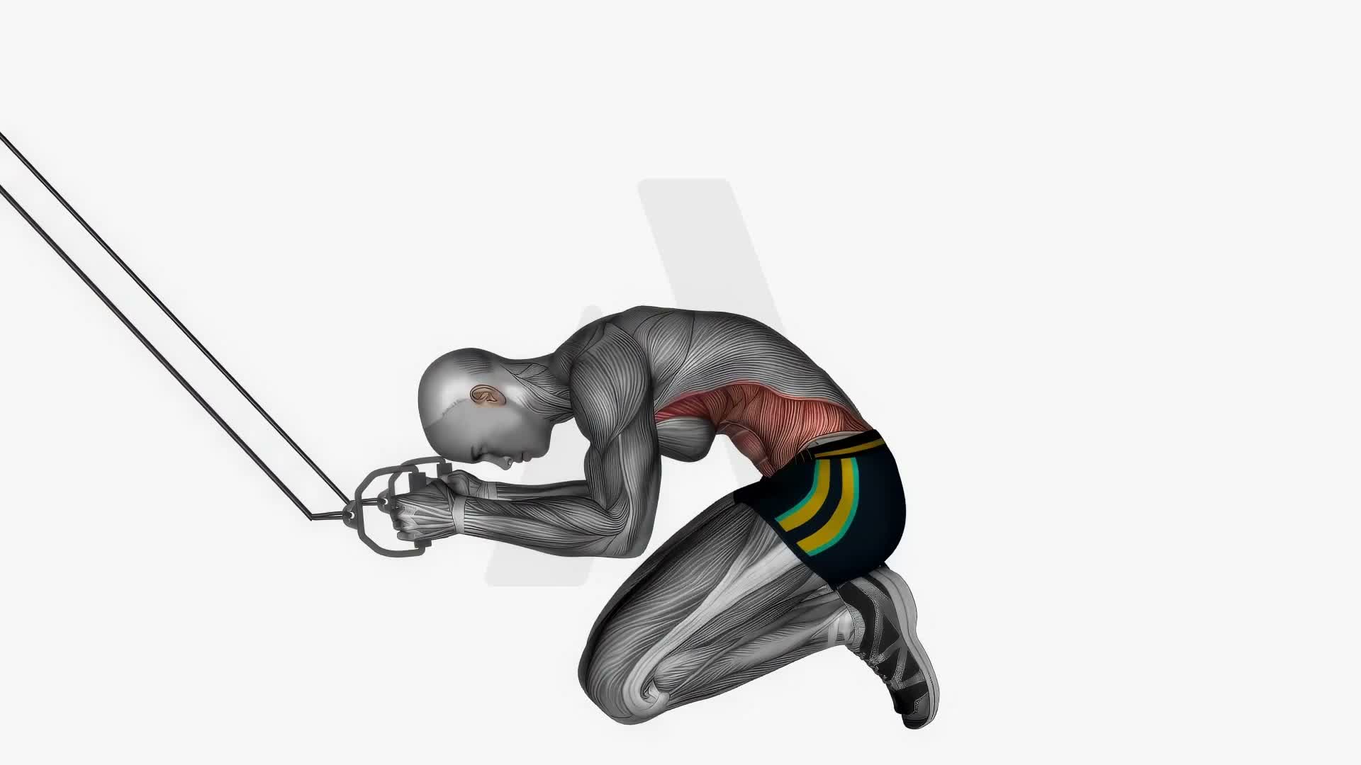 High Resistance Band Kneeling Crunch exercise demonstration