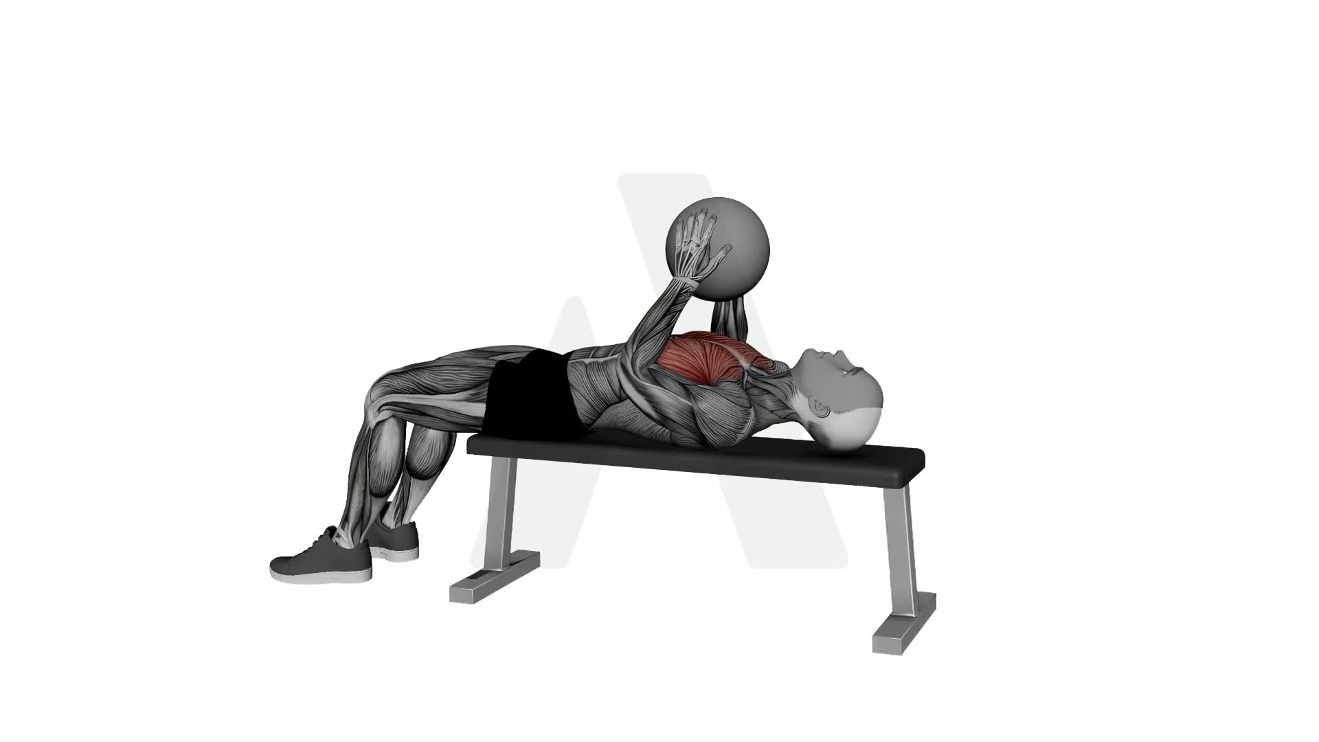 Hold The World Med Ball Chest Press exercise demonstration